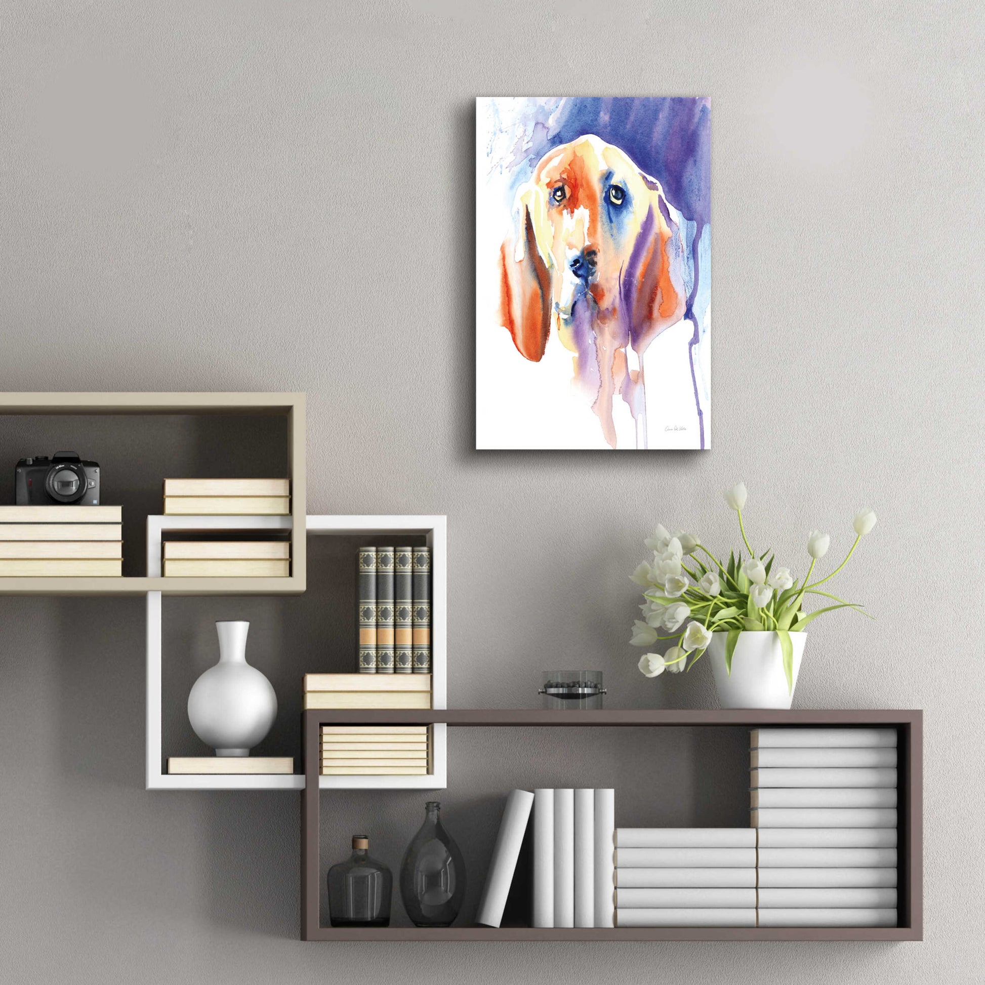 Epic Art 'Basset Hound' by Alan Majchrowicz, Acrylic Glass Wall Art,16x24