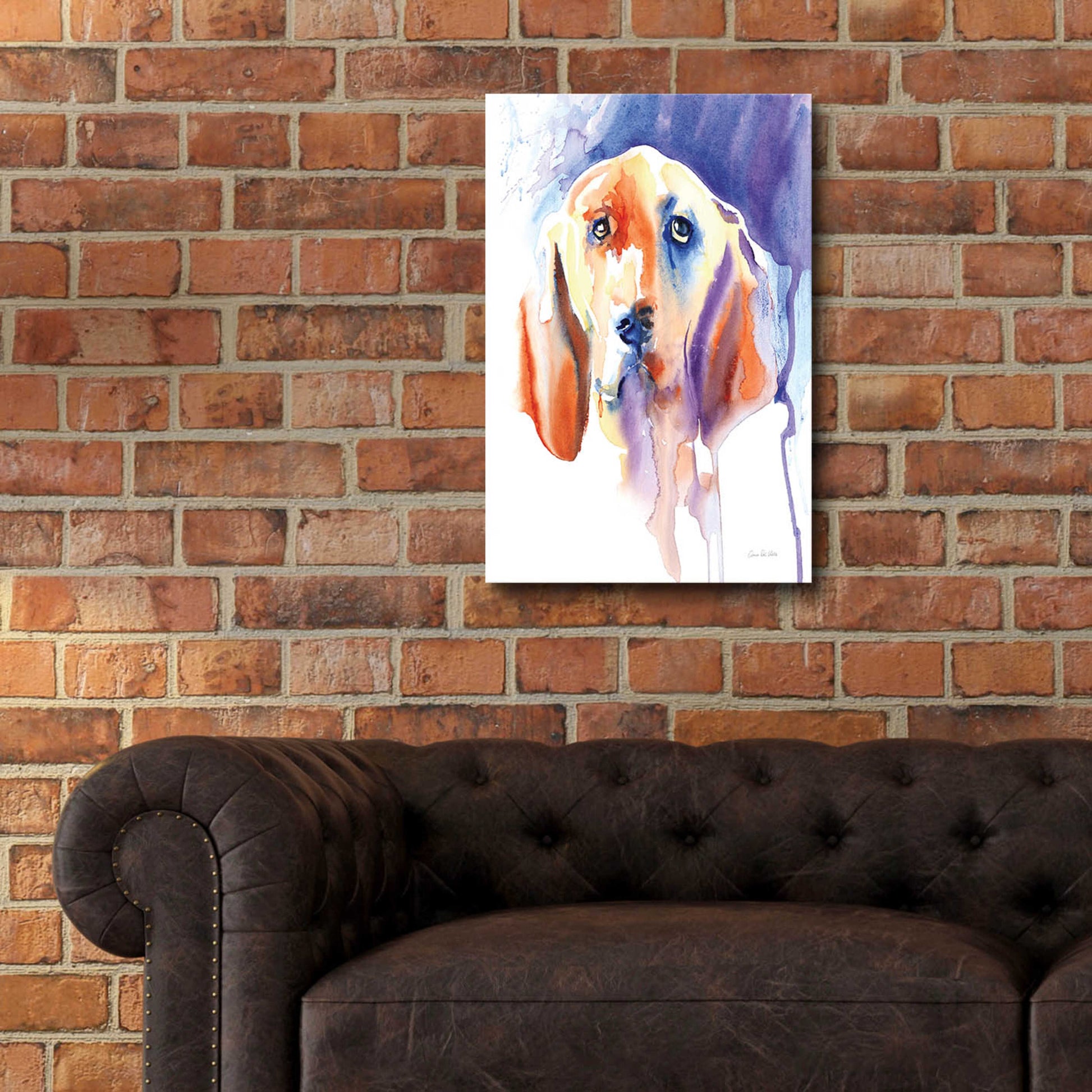 Epic Art 'Basset Hound' by Alan Majchrowicz, Acrylic Glass Wall Art,16x24