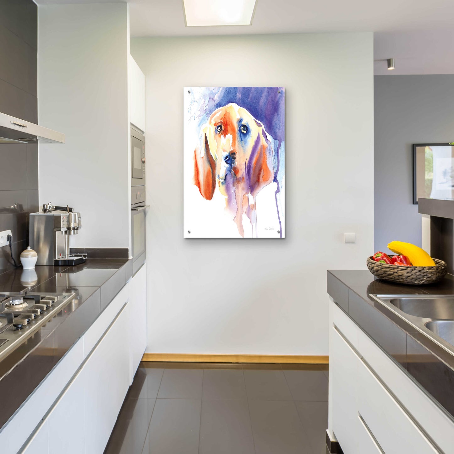 Epic Art 'Basset Hound' by Alan Majchrowicz, Acrylic Glass Wall Art,24x36