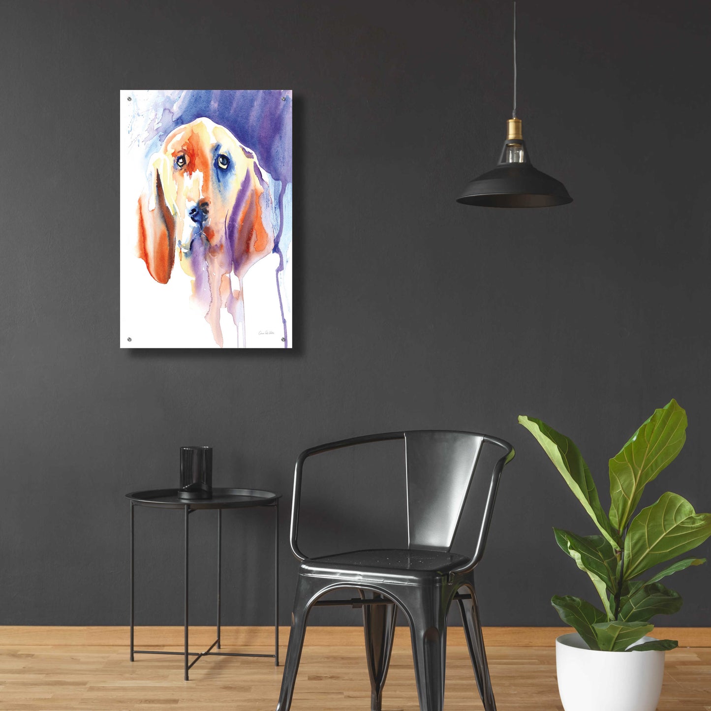 Epic Art 'Basset Hound' by Alan Majchrowicz, Acrylic Glass Wall Art,24x36