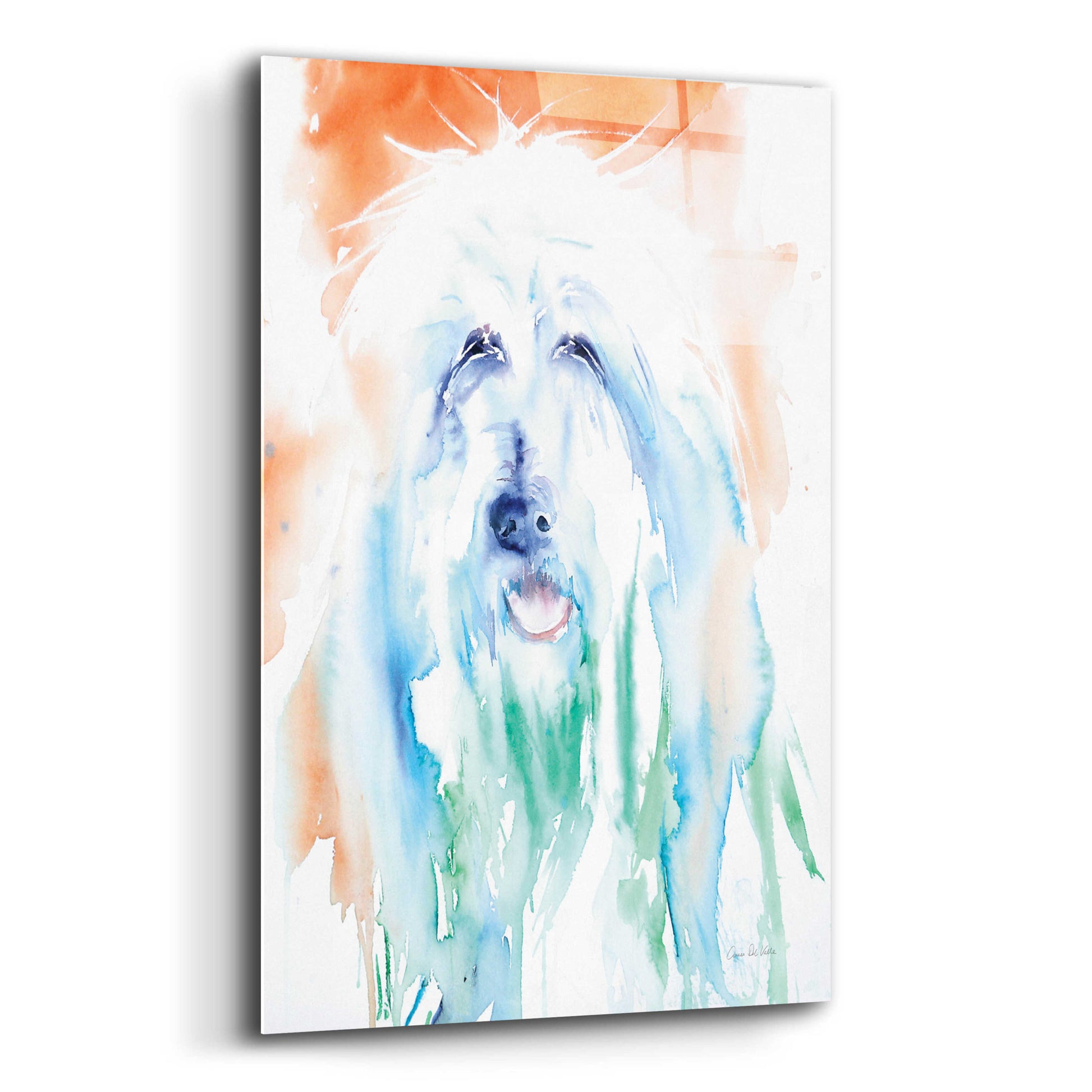 Epic Art 'Sheep Dog' by Alan Majchrowicz, Acrylic Glass Wall Art,12x16