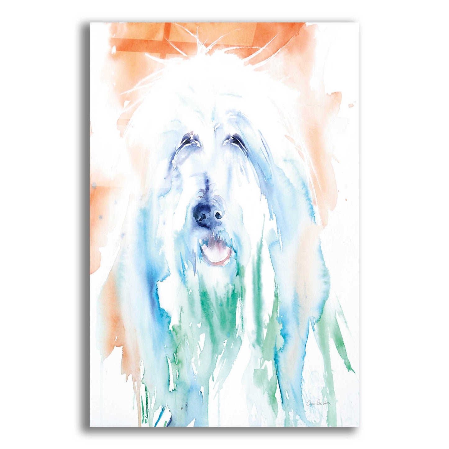 Epic Art 'Sheep Dog' by Alan Majchrowicz, Acrylic Glass Wall Art,12x16