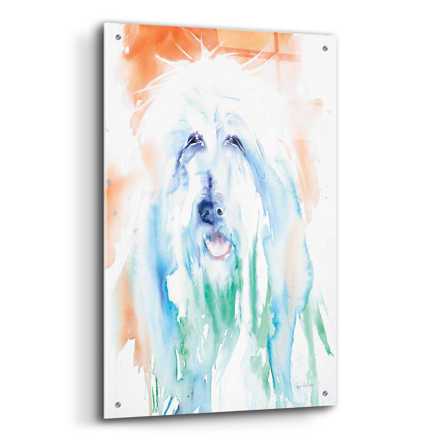 Epic Art 'Sheep Dog' by Alan Majchrowicz, Acrylic Glass Wall Art,24x36