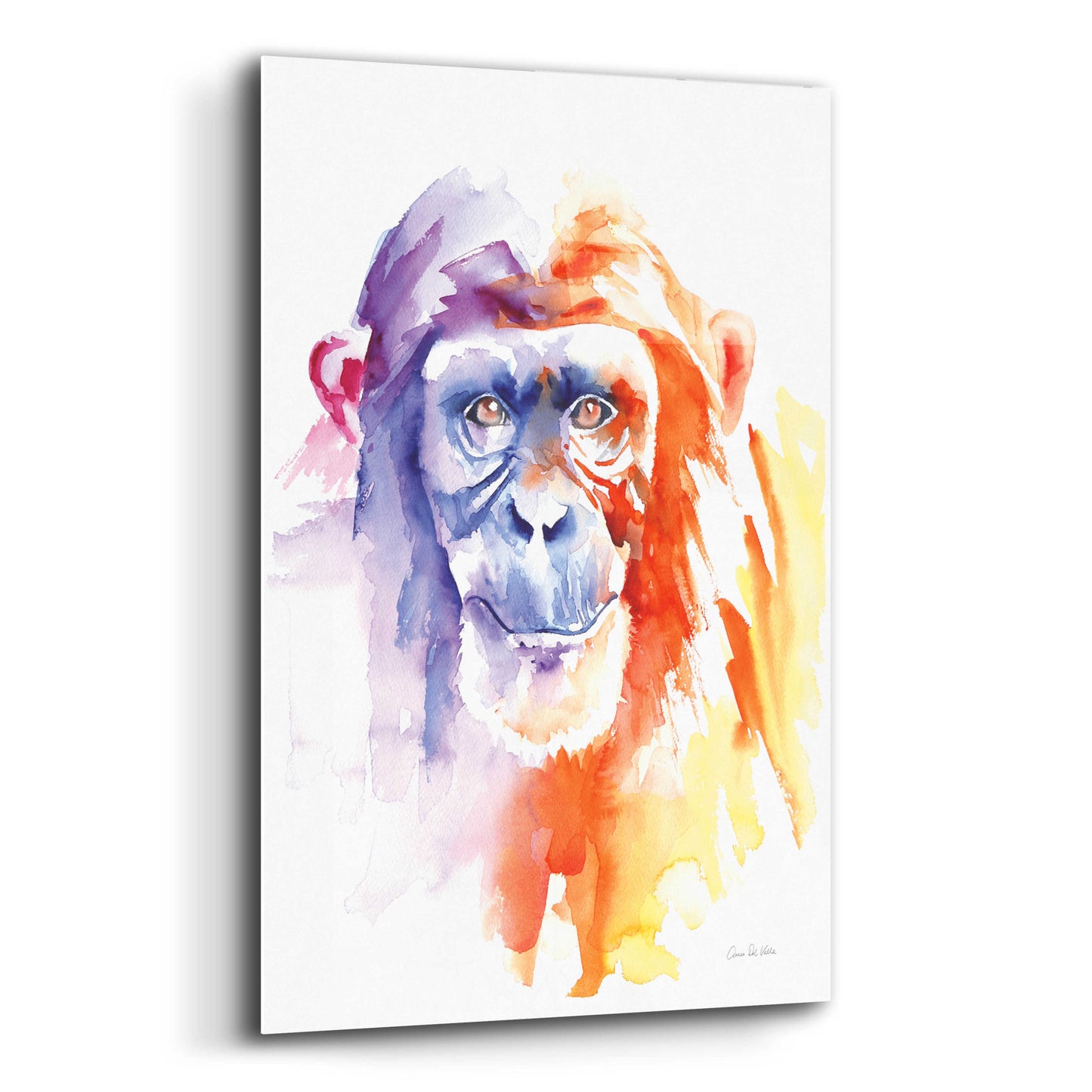 Epic Art 'Chimpanzee II' by Alan Majchrowicz, Acrylic Glass Wall Art,12x16