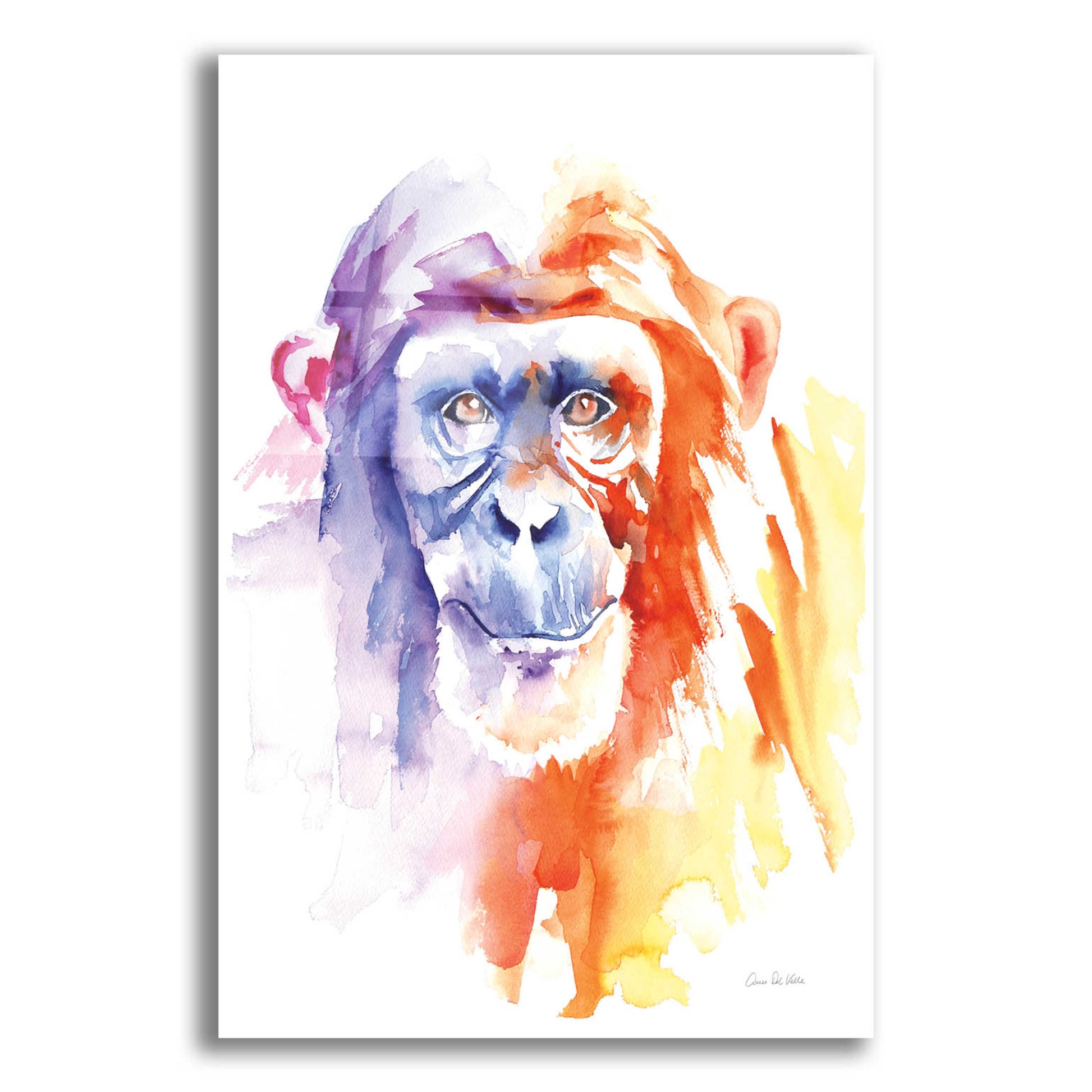 Epic Art 'Chimpanzee II' by Alan Majchrowicz, Acrylic Glass Wall Art,16x24