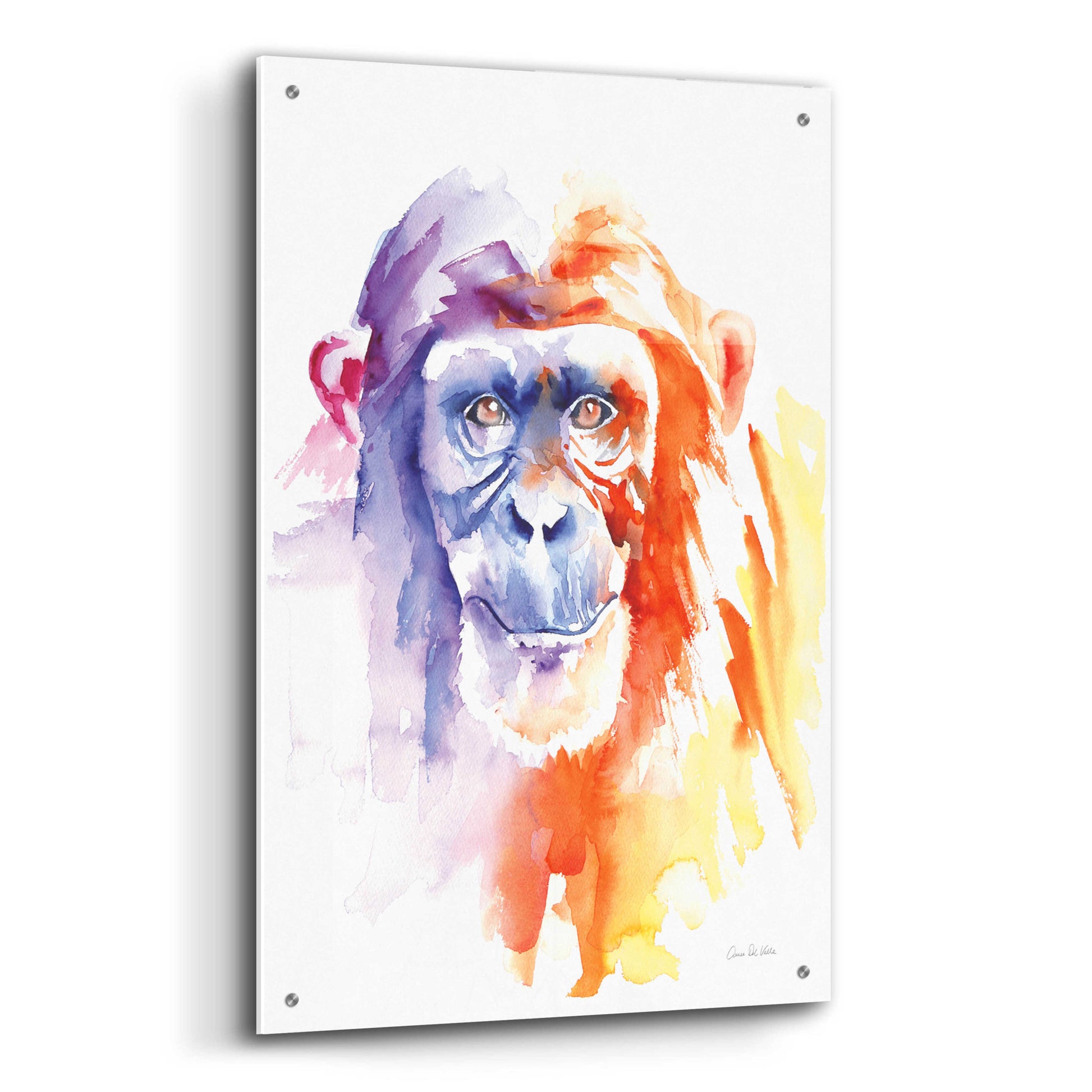 Epic Art 'Chimpanzee II' by Alan Majchrowicz, Acrylic Glass Wall Art,24x36