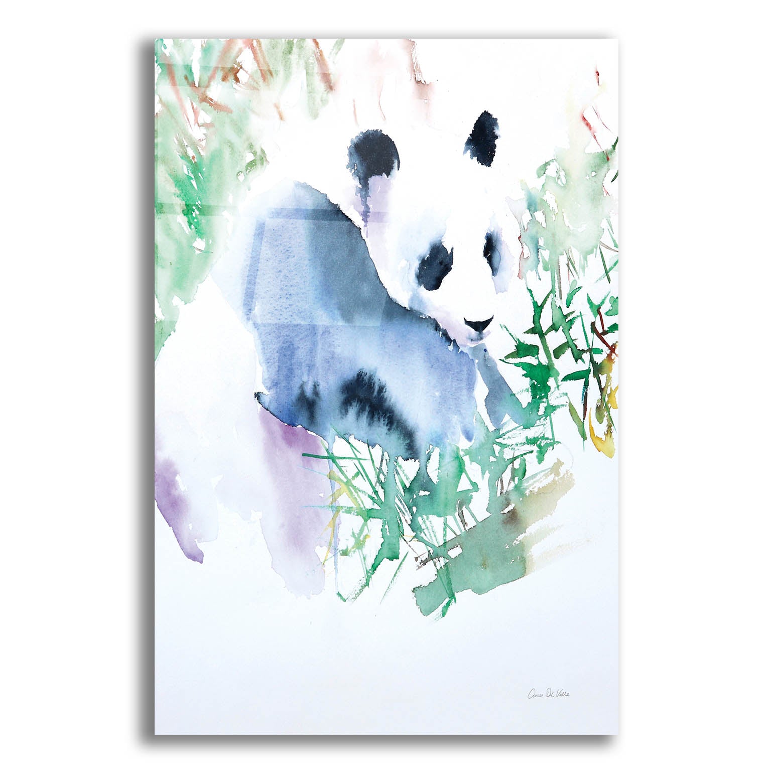 Epic Art 'Panda' by Alan Majchrowicz, Acrylic Glass Wall Art,12x16