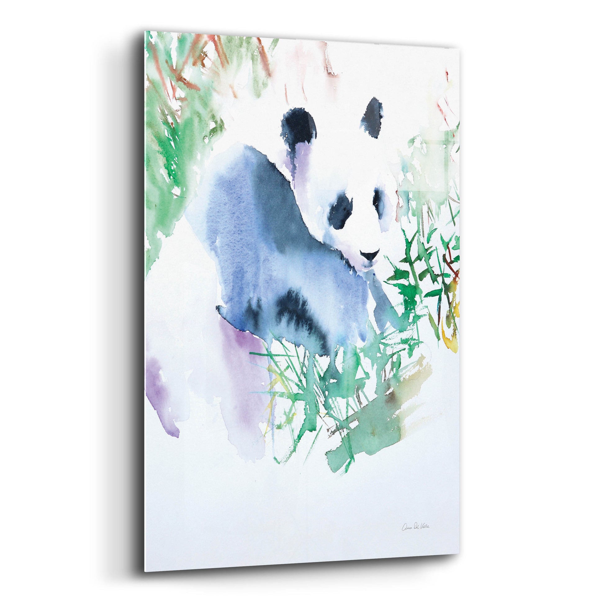 Epic Art 'Panda' by Alan Majchrowicz, Acrylic Glass Wall Art,16x24