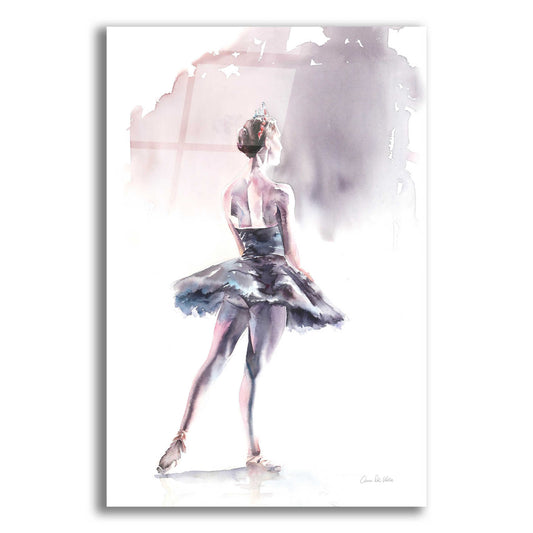 Epic Art 'Ballet I' by Alan Majchrowicz, Acrylic Glass Wall Art