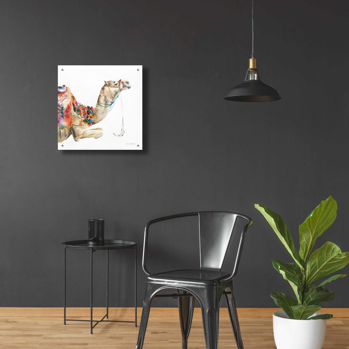 Epic Art 'Desert Camel I' by Alan Majchrowicz, Acrylic Glass Wall Art,24x24
