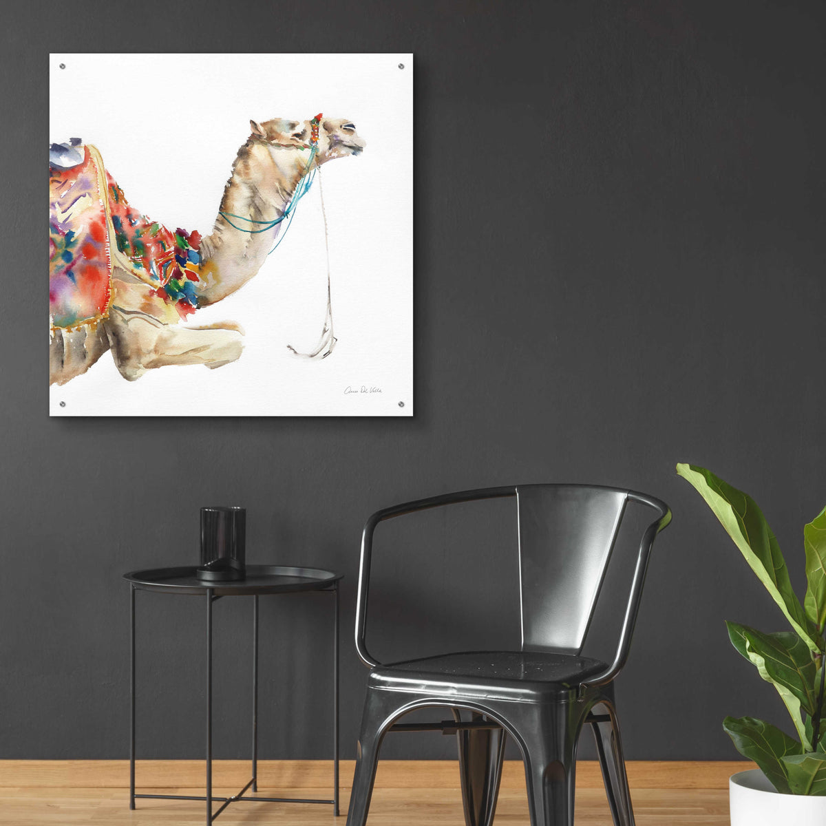 Epic Art 'Desert Camel I' by Alan Majchrowicz, Acrylic Glass Wall Art,36x36