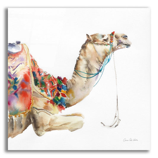 Epic Art 'Desert Camel I' by Alan Majchrowicz, Acrylic Glass Wall Art