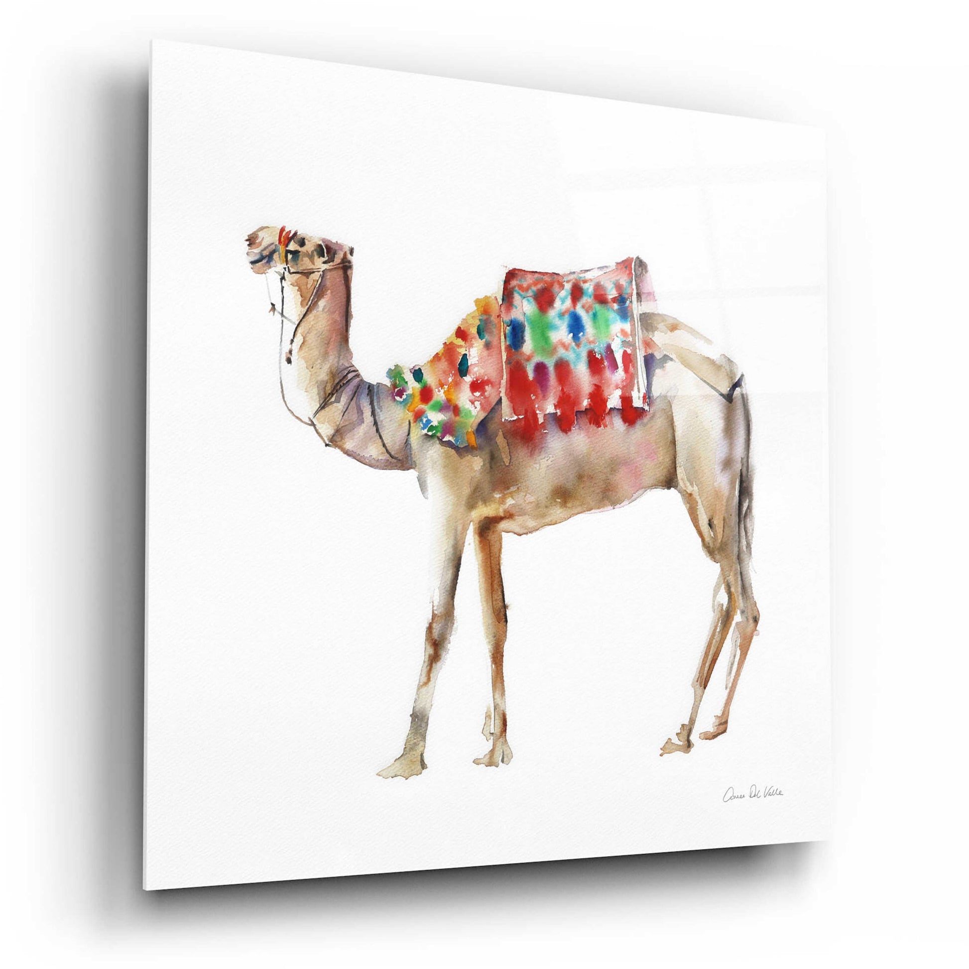 Epic Art 'Desert Camel II' by Alan Majchrowicz, Acrylic Glass Wall Art,12x12