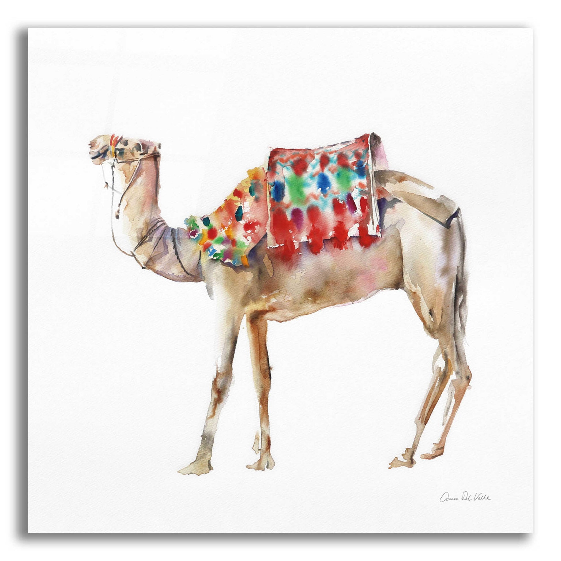 Epic Art 'Desert Camel II' by Alan Majchrowicz, Acrylic Glass Wall Art,12x12