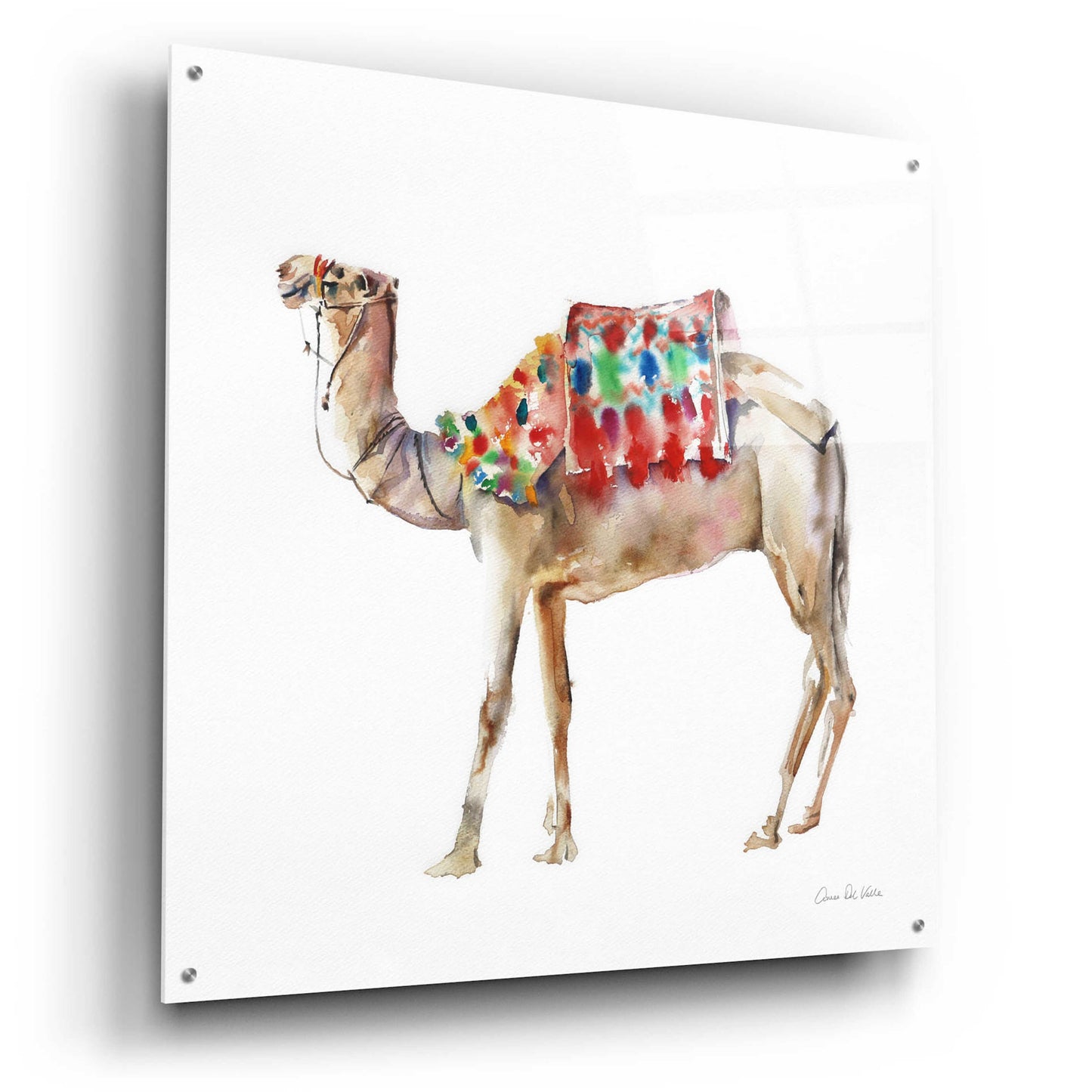 Epic Art 'Desert Camel II' by Alan Majchrowicz, Acrylic Glass Wall Art,36x36