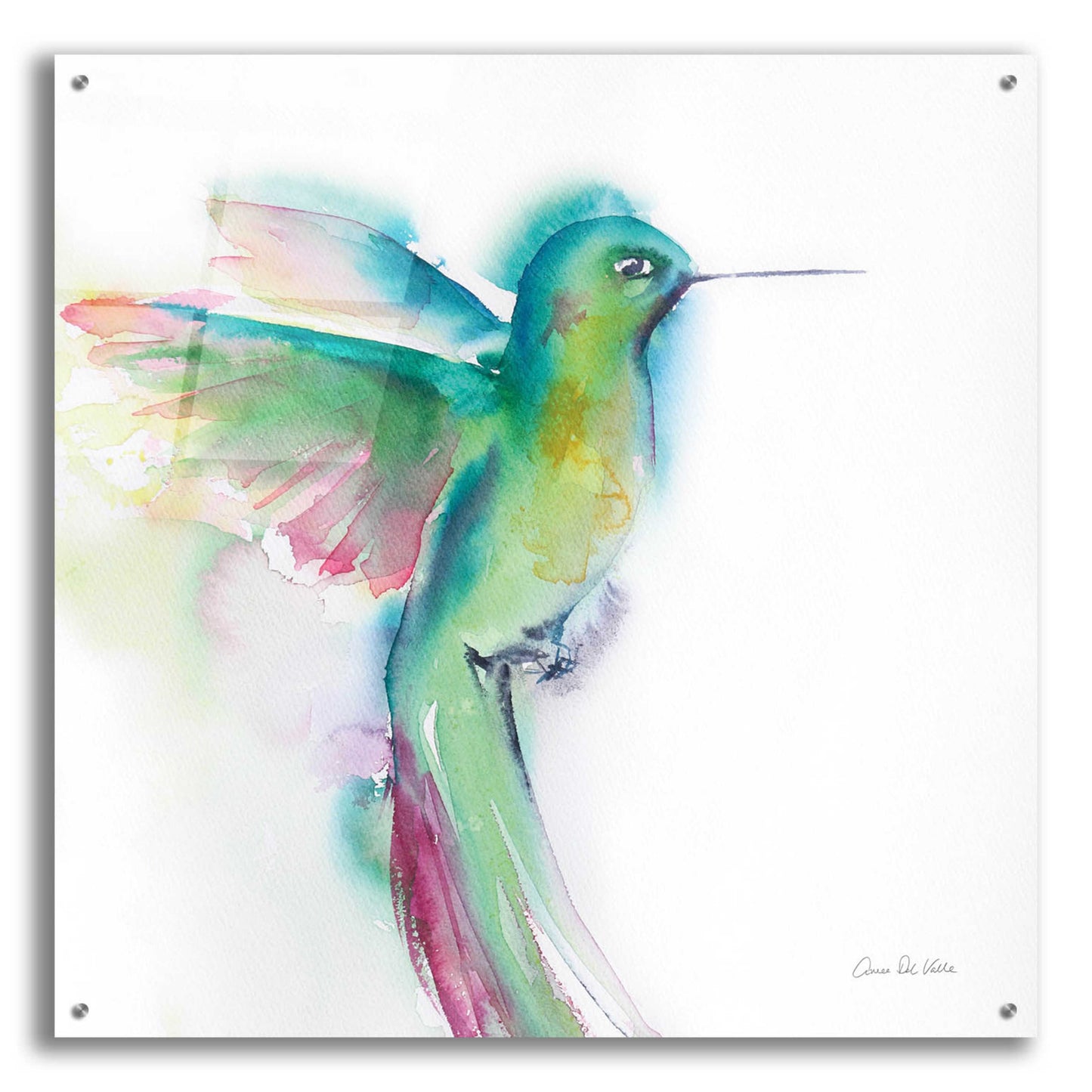Epic Art 'Hummingbirds II' by Alan Majchrowicz, Acrylic Glass Wall Art,36x36