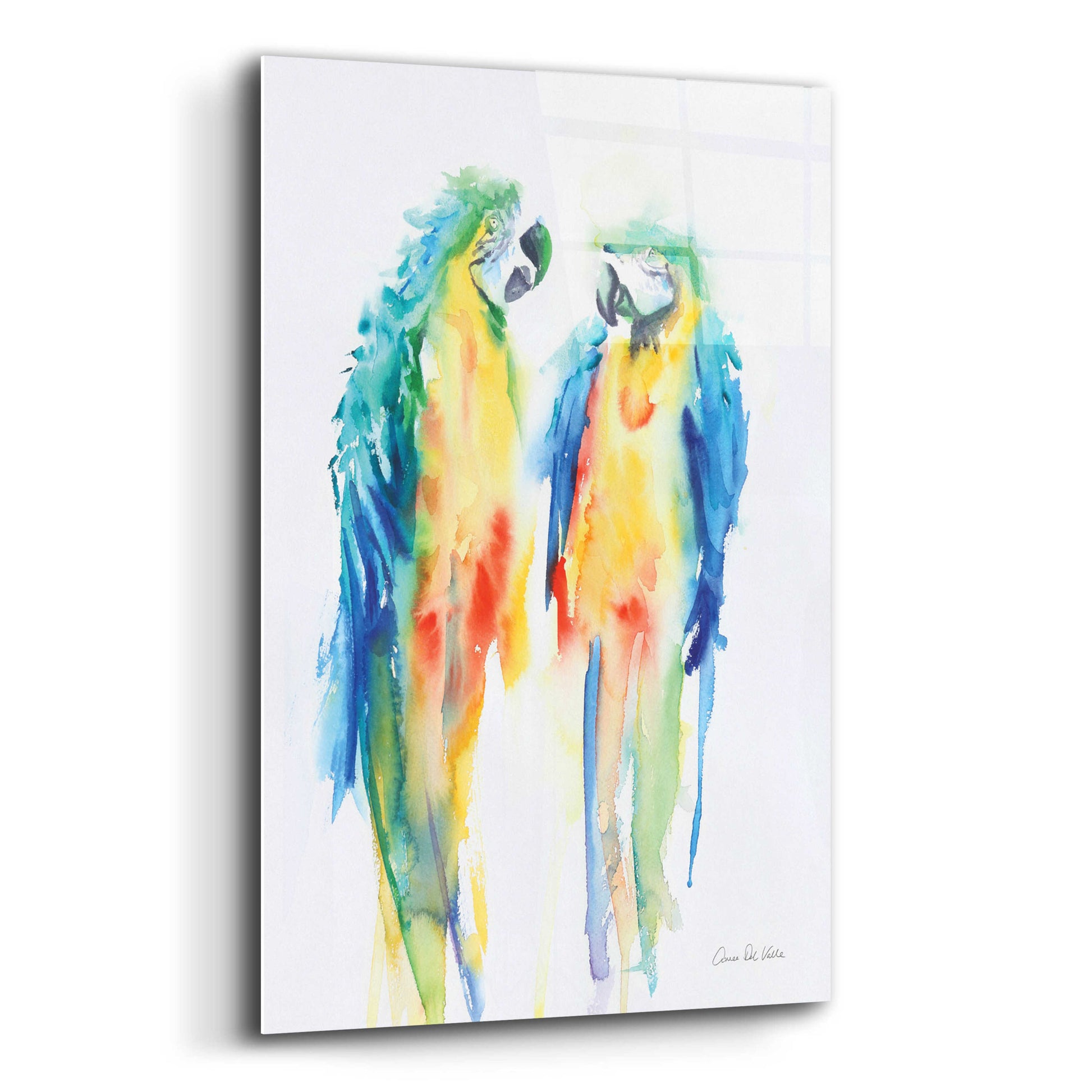 Epic Art 'Colorful Parrots I' by Alan Majchrowicz, Acrylic Glass Wall Art,16x24