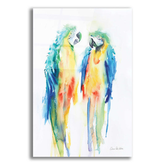 Epic Art 'Colorful Parrots I' by Alan Majchrowicz, Acrylic Glass Wall Art