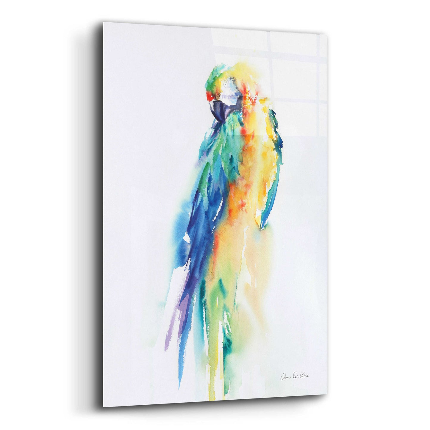 Epic Art 'Colorful Parrots II' by Alan Majchrowicz, Acrylic Glass Wall Art,16x24