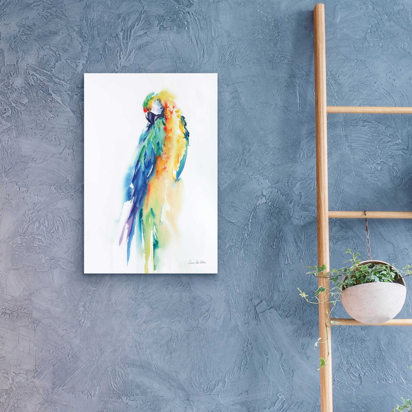 Epic Art 'Colorful Parrots II' by Alan Majchrowicz, Acrylic Glass Wall Art,16x24