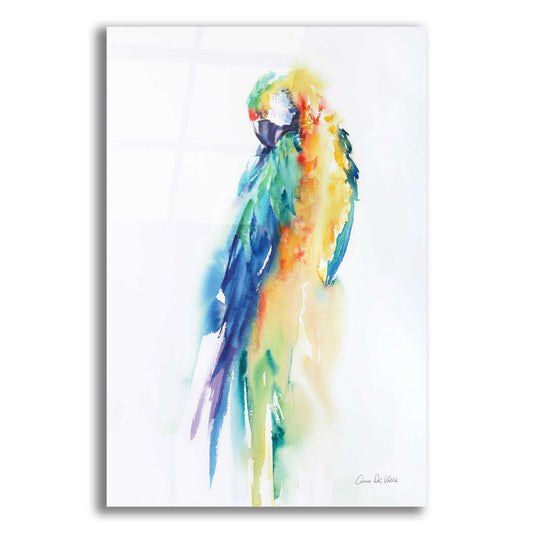 Epic Art 'Colorful Parrots II' by Alan Majchrowicz, Acrylic Glass Wall Art