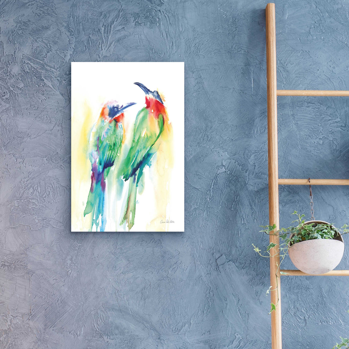 Epic Art 'Tropical Birds' by Alan Majchrowicz, Acrylic Glass Wall Art,16x24