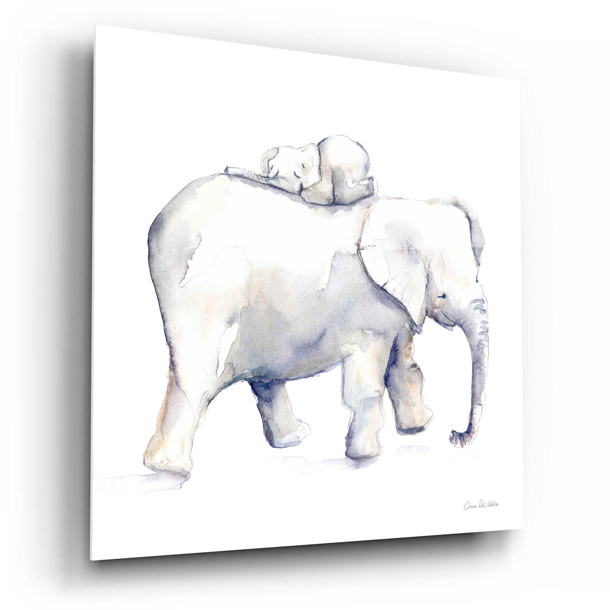 Epic Art 'Baby Elephant Love III' by Alan Majchrowicz, Acrylic Glass Wall Art,12x12