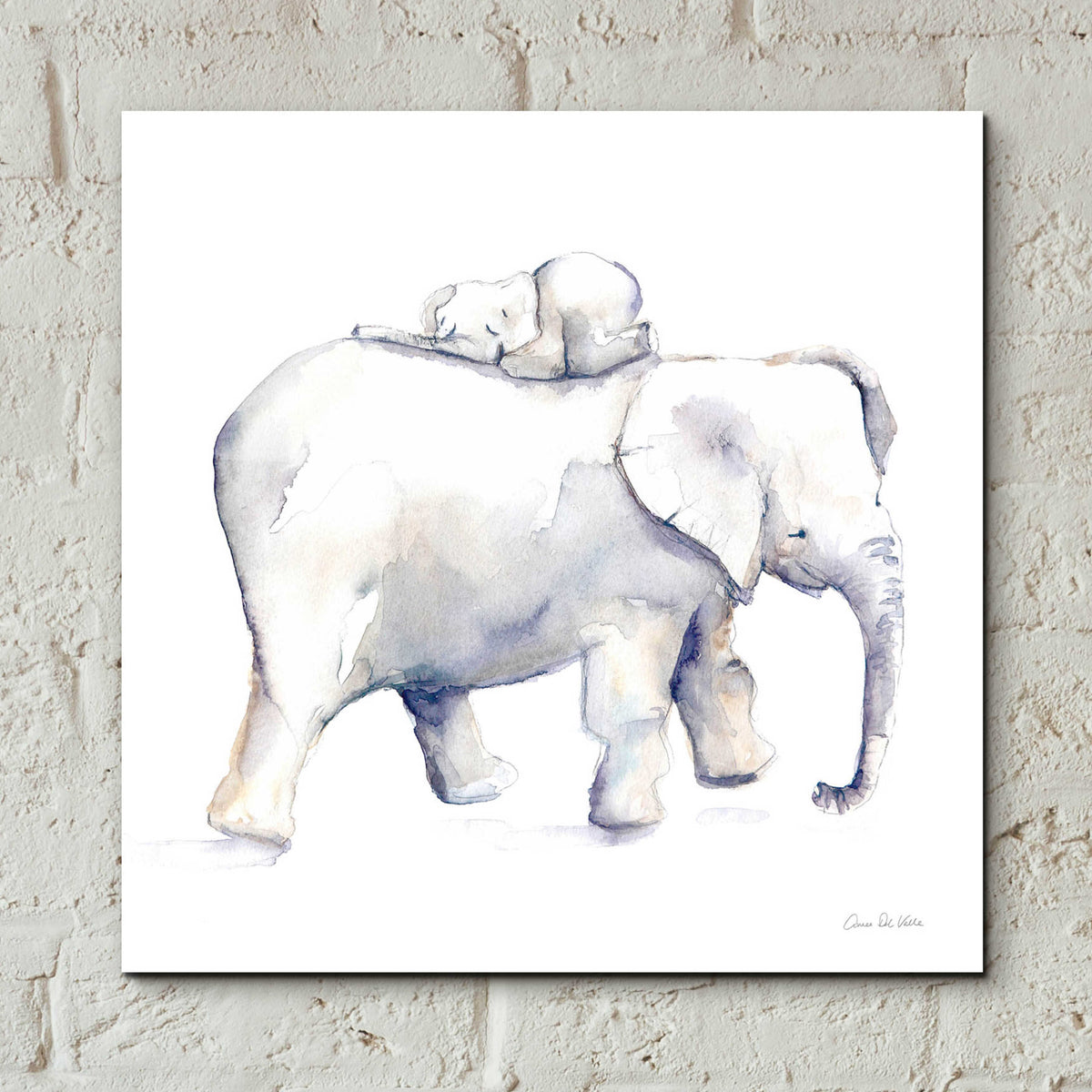 Epic Art 'Baby Elephant Love III' by Alan Majchrowicz, Acrylic Glass Wall Art,12x12