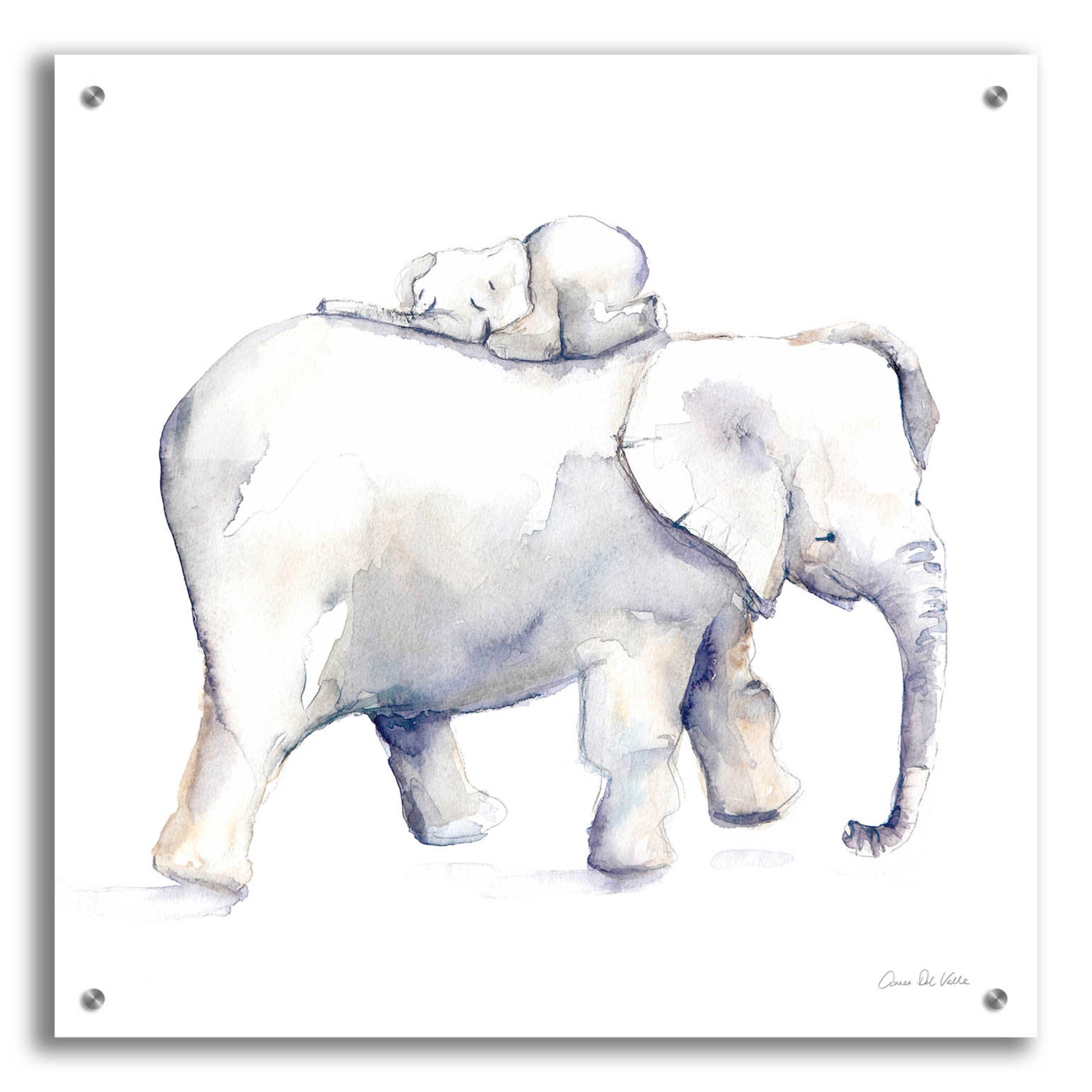 Epic Art 'Baby Elephant Love III' by Alan Majchrowicz, Acrylic Glass Wall Art,24x24