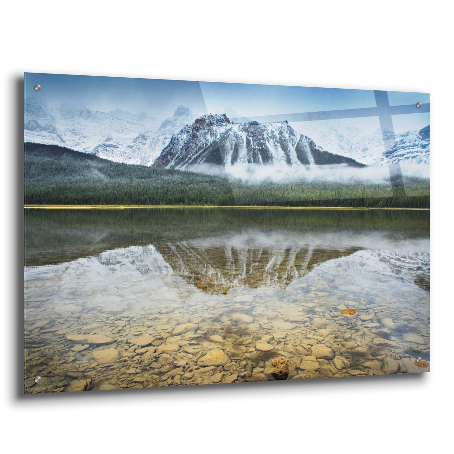 Epic Art 'Waterfowl Lake I' by Alan Majchrowicz, Acrylic Glass Wall Art,36x24