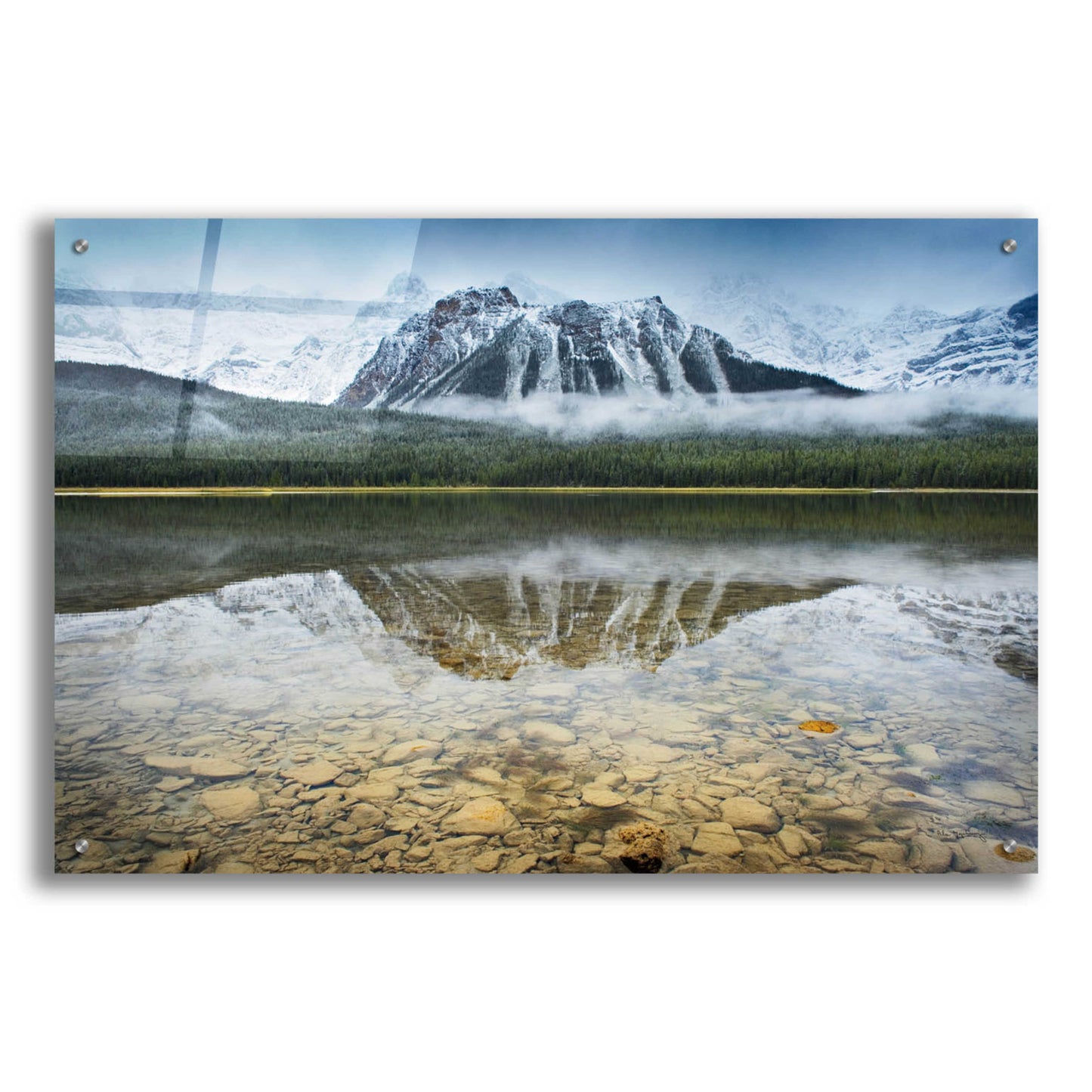 Epic Art 'Waterfowl Lake I' by Alan Majchrowicz, Acrylic Glass Wall Art,36x24