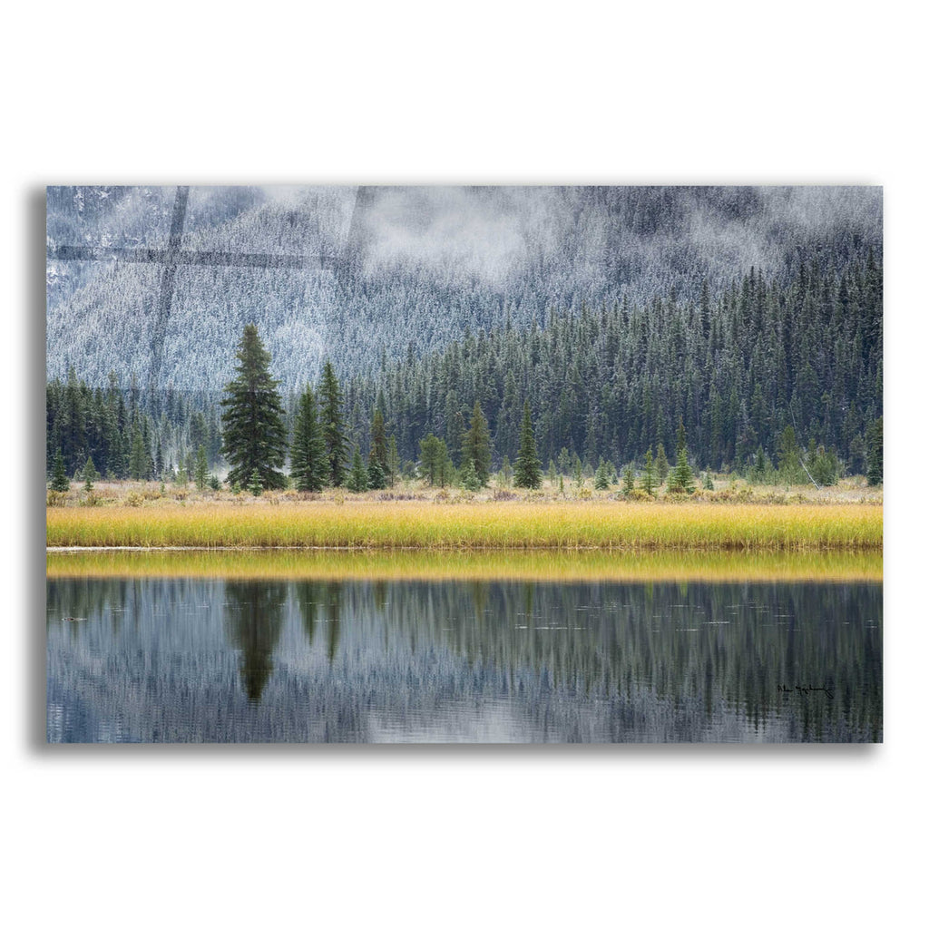 Epic Art 'Waterfowl Lake II' by Alan Majchrowicz, Acrylic Glass Wall Art