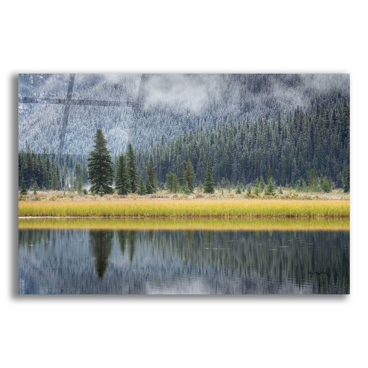 Epic Art 'Waterfowl Lake II' by Alan Majchrowicz, Acrylic Glass Wall Art