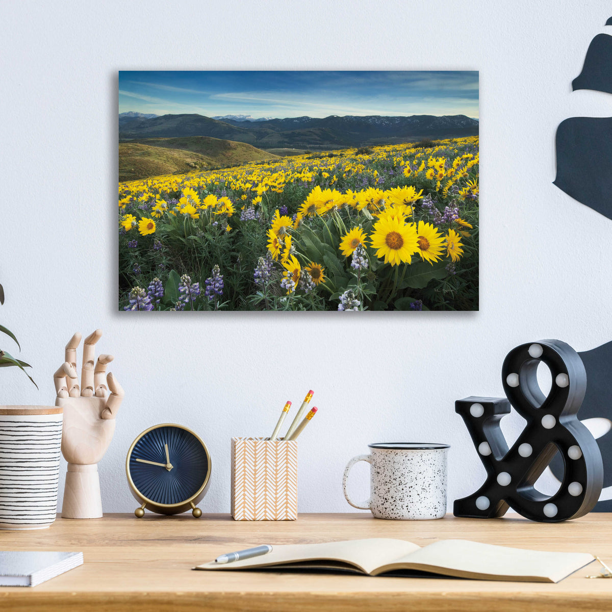 Epic Art 'Methow Valley Wildflowers IV' by Alan Majchrowicz, Acrylic Glass Wall Art,16x12