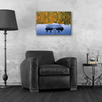Epic Art 'Amherst Lake' by Alan Majchrowicz, Acrylic Glass Wall Art,24x16