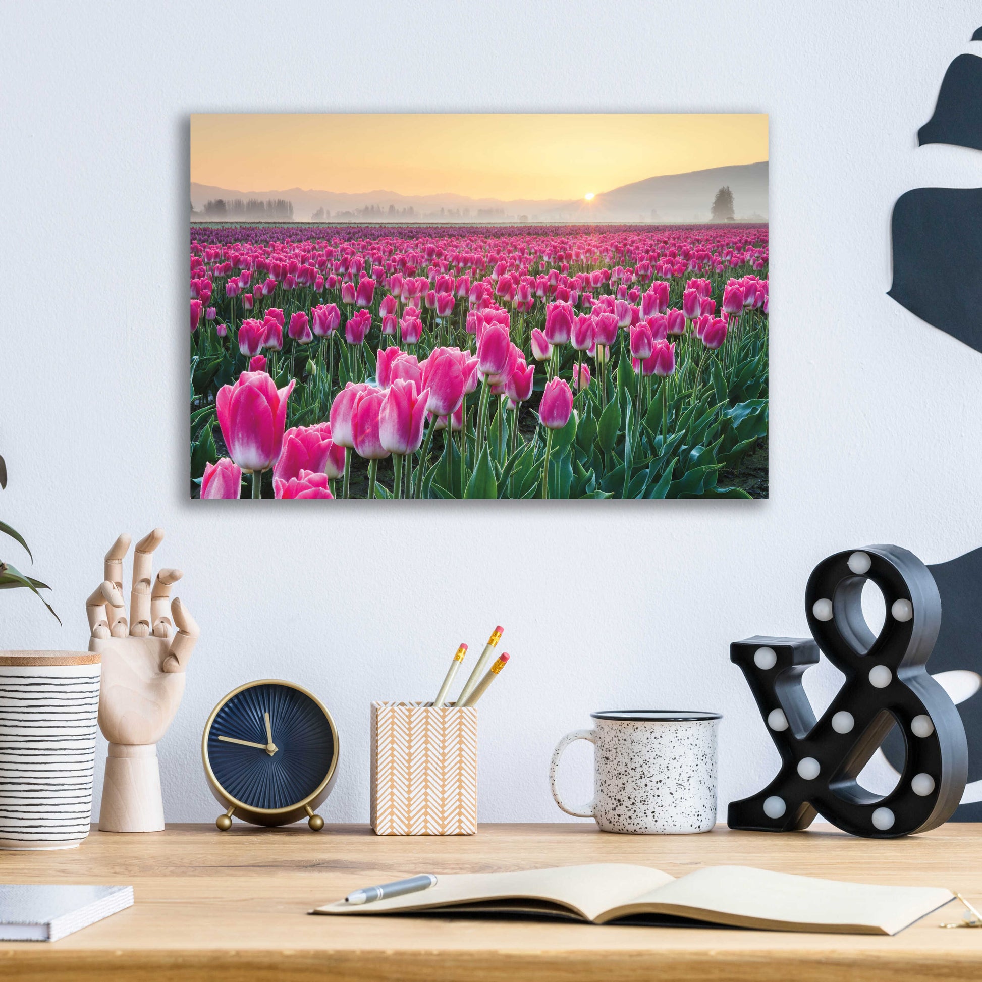 Epic Art 'Skagit Valley Tulips I' by Alan Majchrowicz, Acrylic Glass Wall Art,16x12