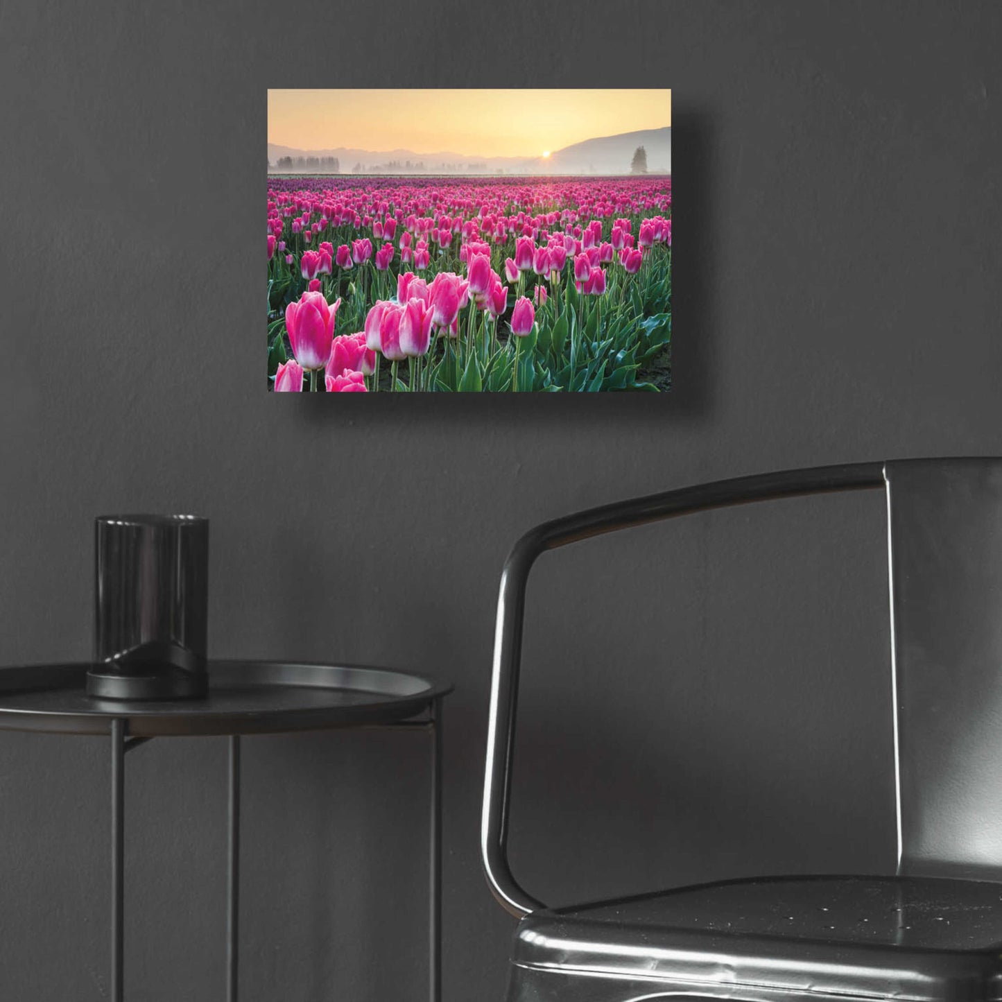 Epic Art 'Skagit Valley Tulips I' by Alan Majchrowicz, Acrylic Glass Wall Art,16x12