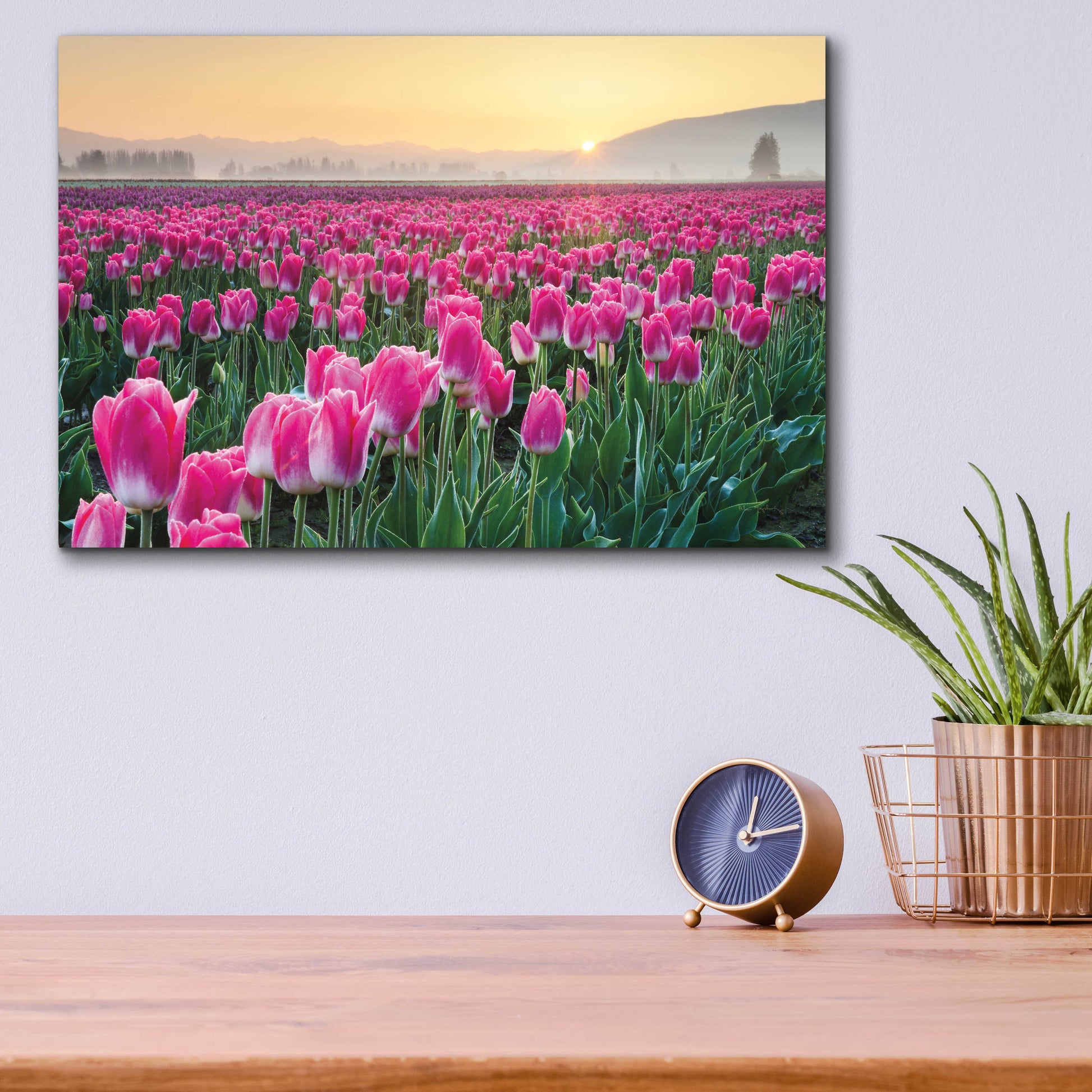 Epic Art 'Skagit Valley Tulips I' by Alan Majchrowicz, Acrylic Glass Wall Art,16x12