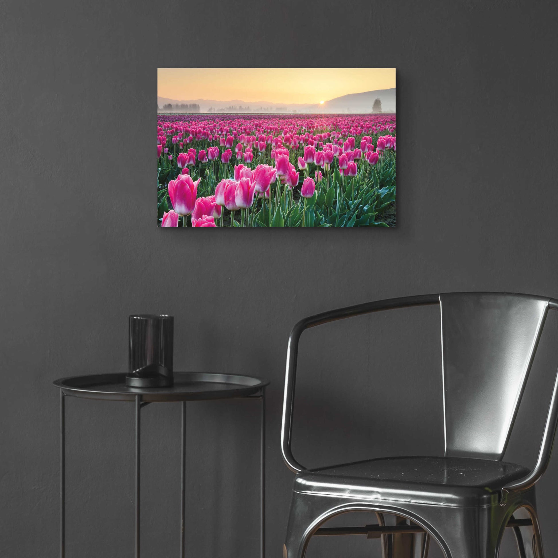 Epic Art 'Skagit Valley Tulips I' by Alan Majchrowicz, Acrylic Glass Wall Art,24x16