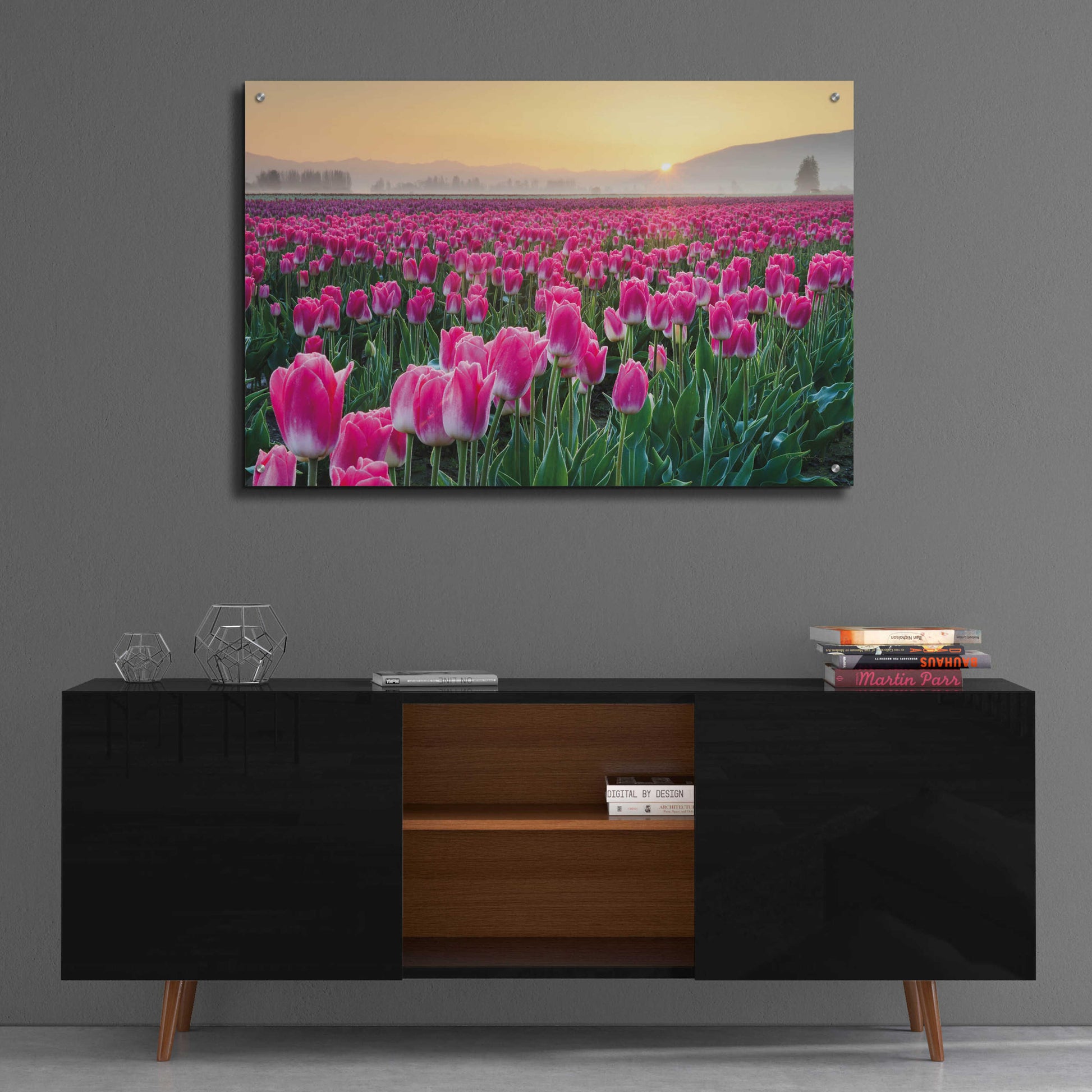 Epic Art 'Skagit Valley Tulips I' by Alan Majchrowicz, Acrylic Glass Wall Art,36x24