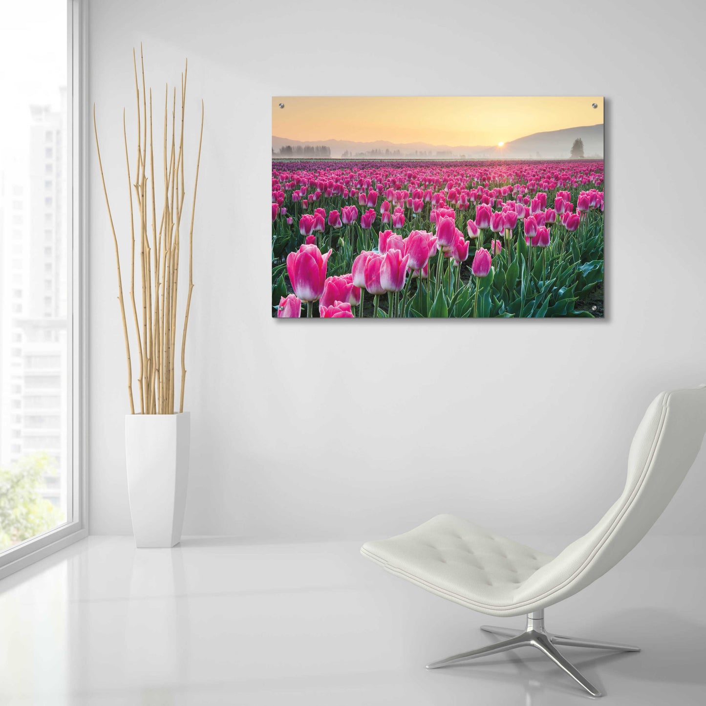 Epic Art 'Skagit Valley Tulips I' by Alan Majchrowicz, Acrylic Glass Wall Art,36x24