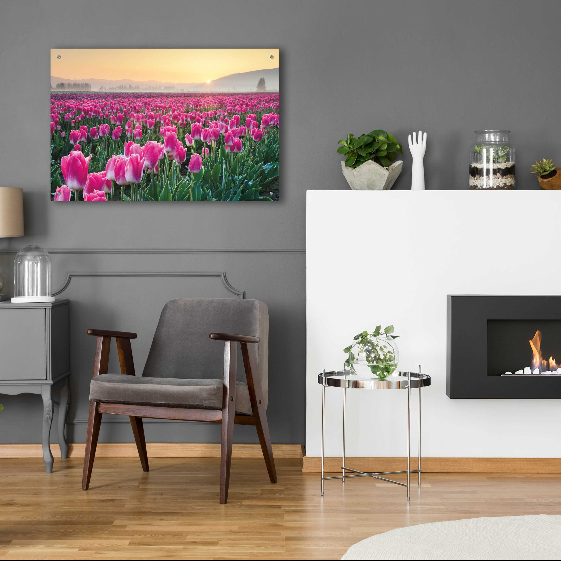 Epic Art 'Skagit Valley Tulips I' by Alan Majchrowicz, Acrylic Glass Wall Art,36x24