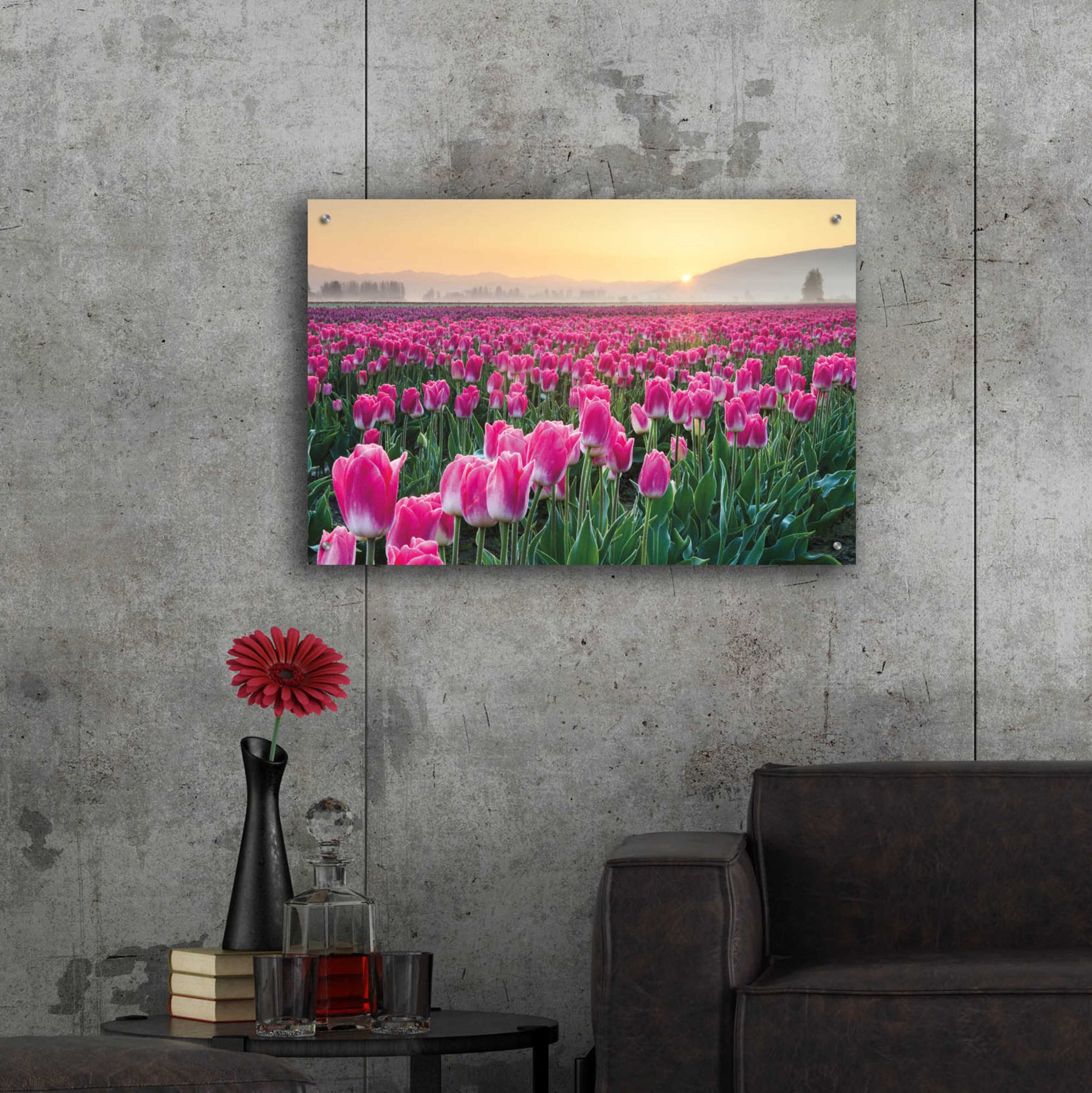 Epic Art 'Skagit Valley Tulips I' by Alan Majchrowicz, Acrylic Glass Wall Art,36x24