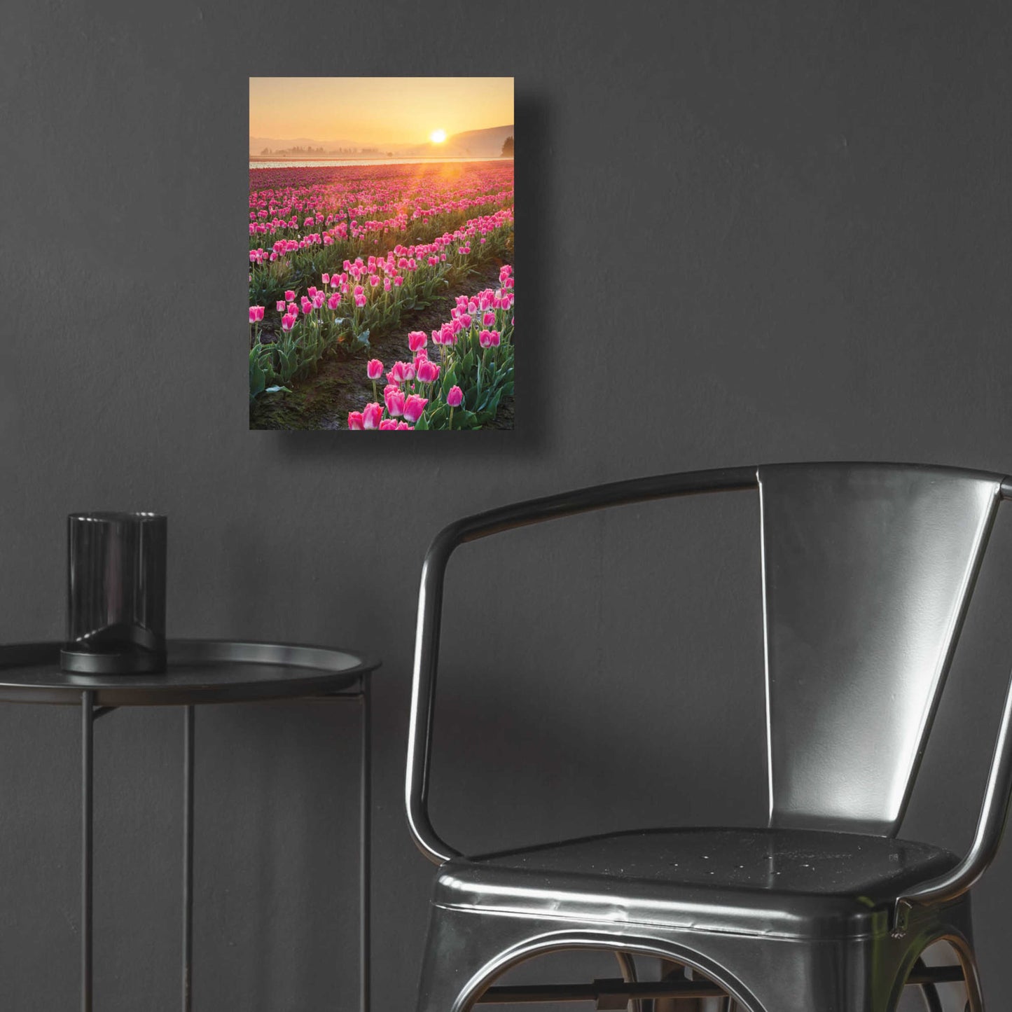 Epic Art 'Skagit Valley Tulips II' by Alan Majchrowicz, Acrylic Glass Wall Art,12x16