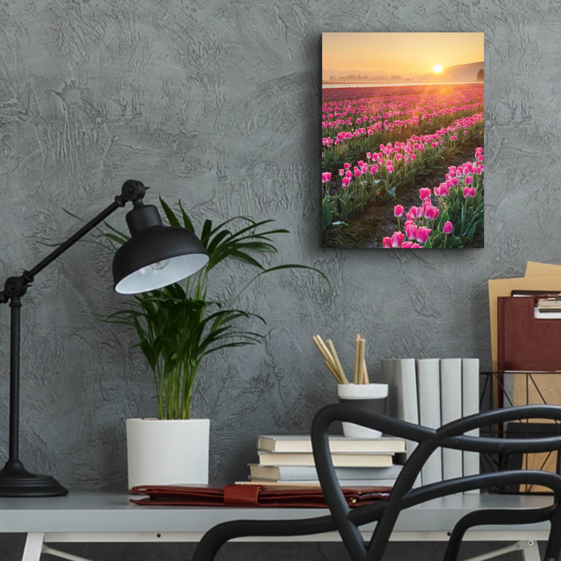 Epic Art 'Skagit Valley Tulips II' by Alan Majchrowicz, Acrylic Glass Wall Art,12x16