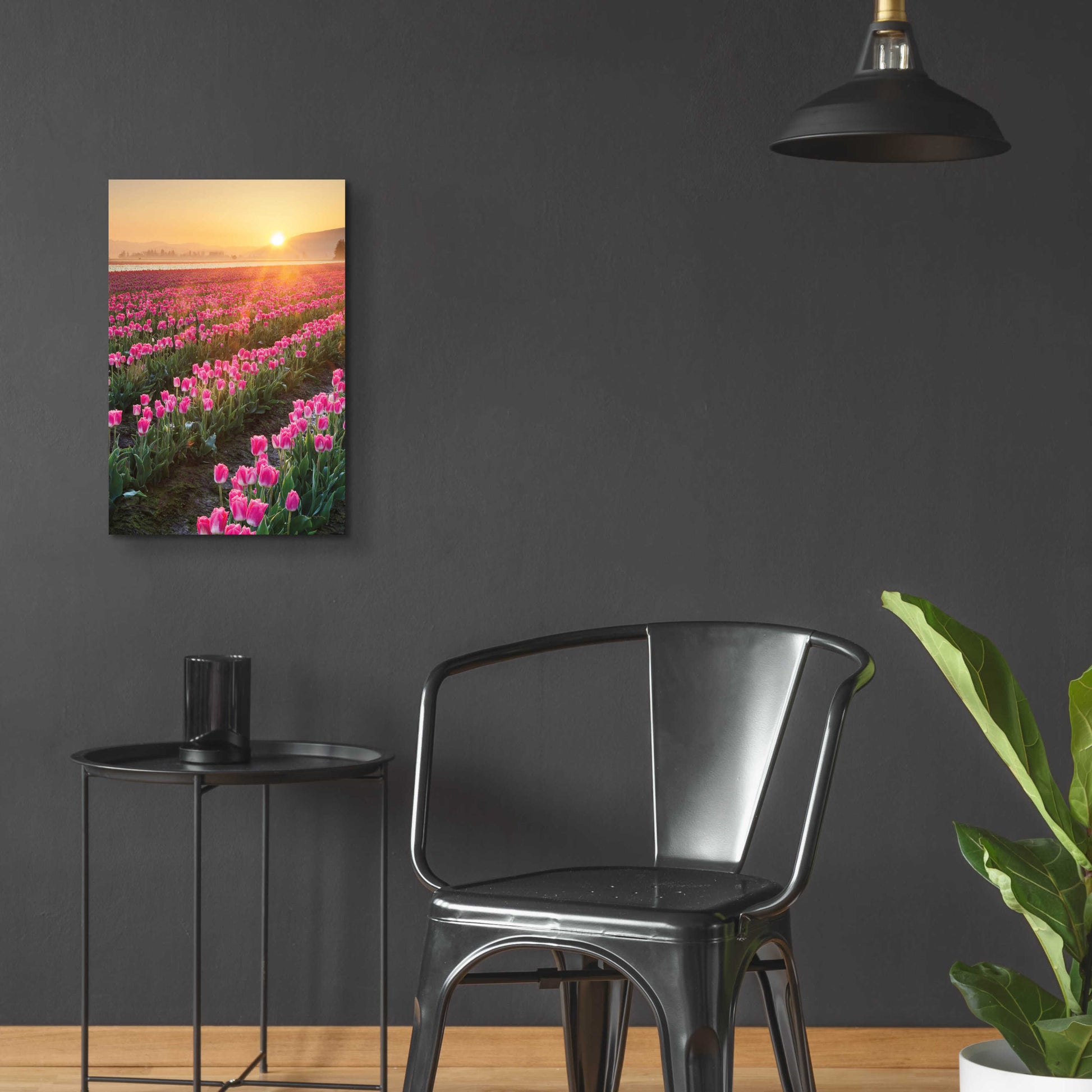 Epic Art 'Skagit Valley Tulips II' by Alan Majchrowicz, Acrylic Glass Wall Art,16x24