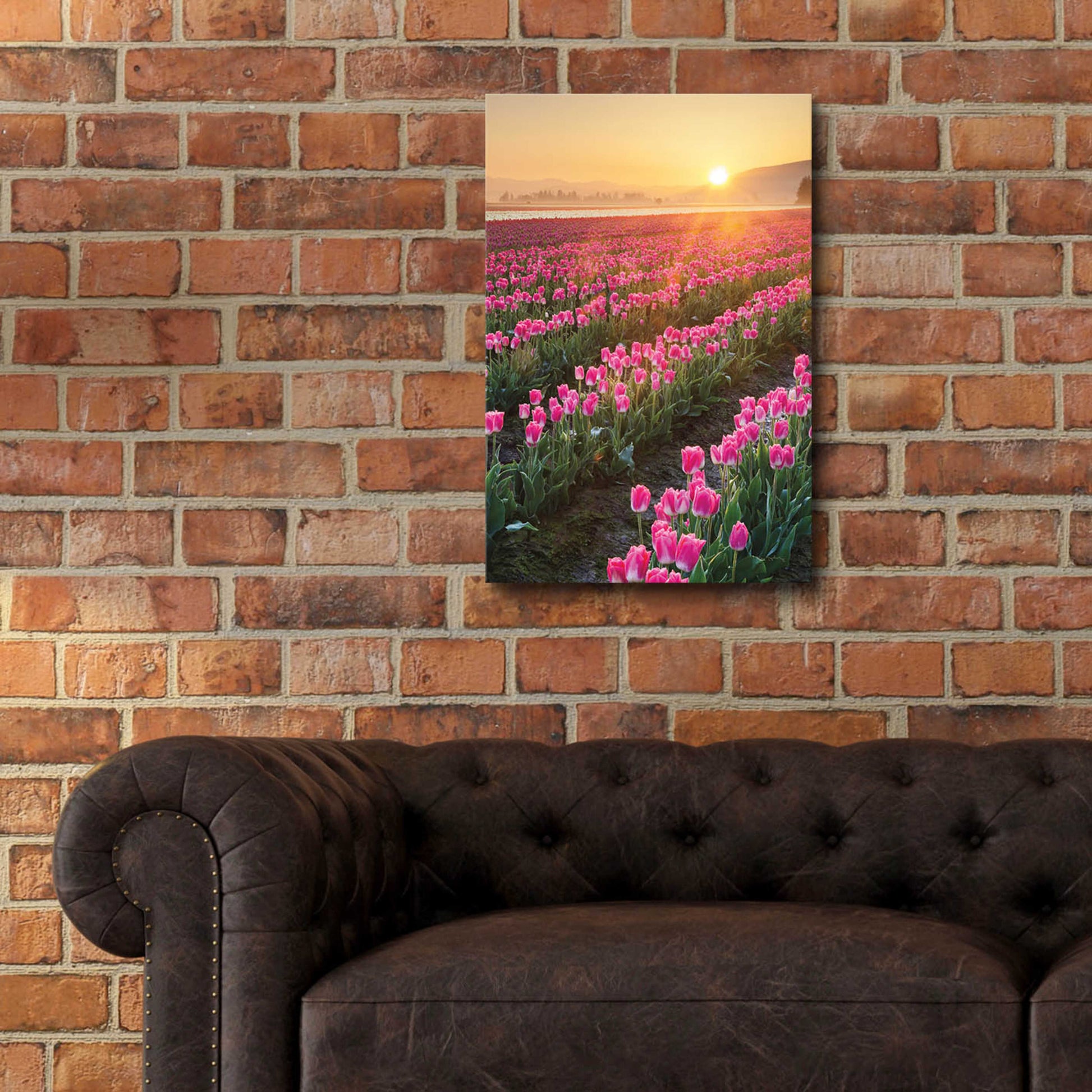 Epic Art 'Skagit Valley Tulips II' by Alan Majchrowicz, Acrylic Glass Wall Art,16x24