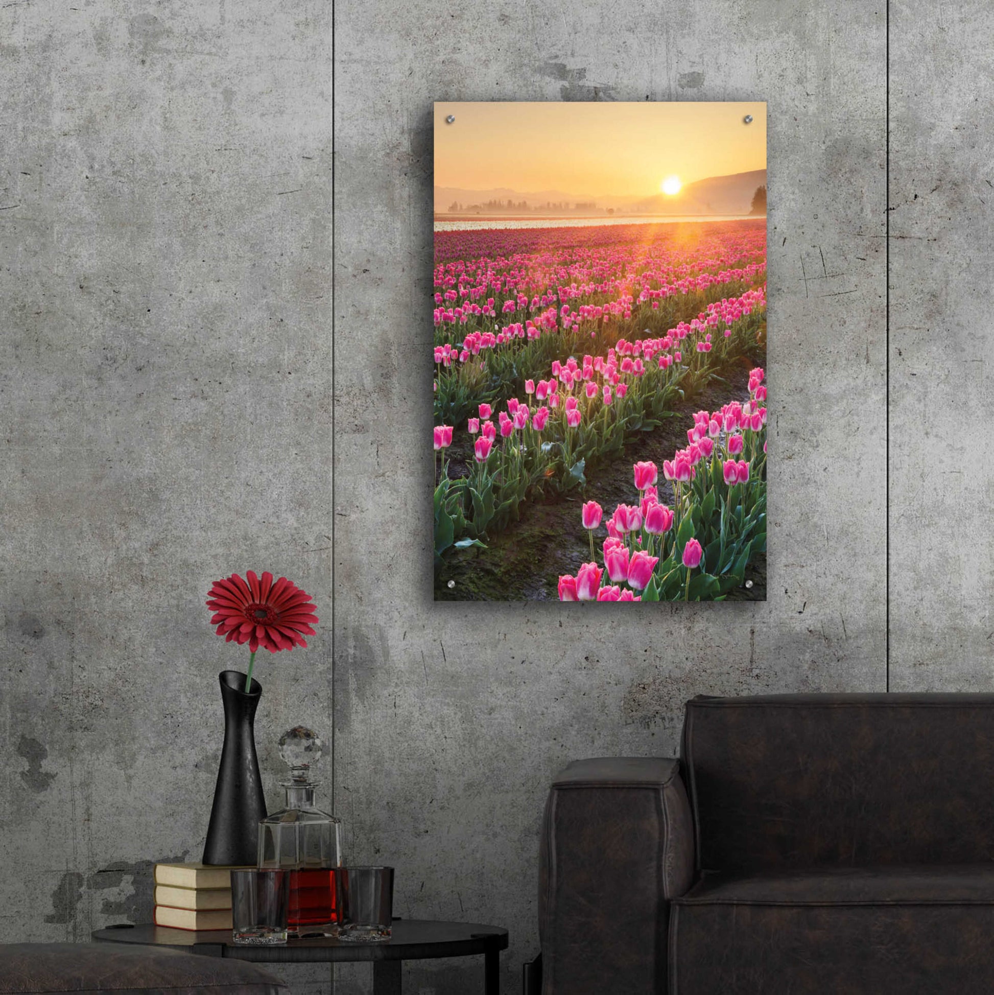 Epic Art 'Skagit Valley Tulips II' by Alan Majchrowicz, Acrylic Glass Wall Art,24x36