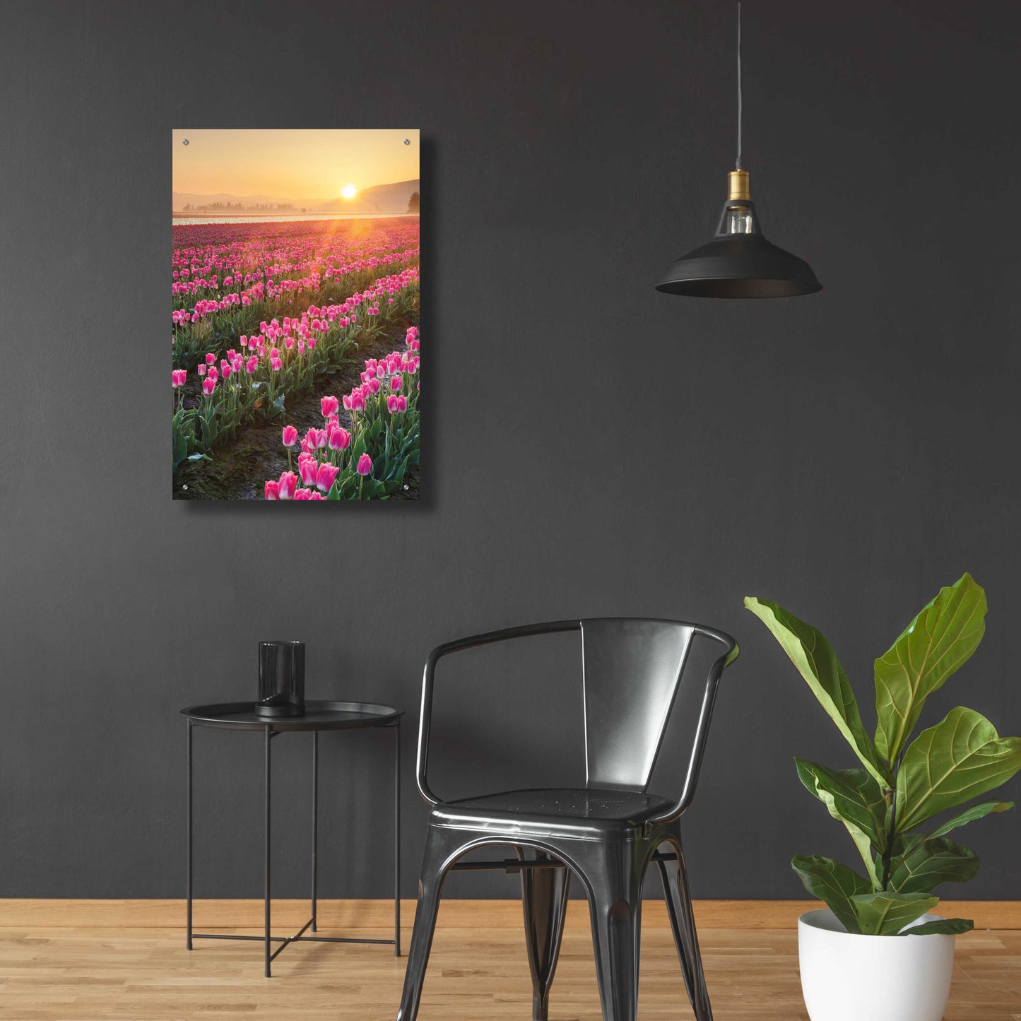 Epic Art 'Skagit Valley Tulips II' by Alan Majchrowicz, Acrylic Glass Wall Art,24x36