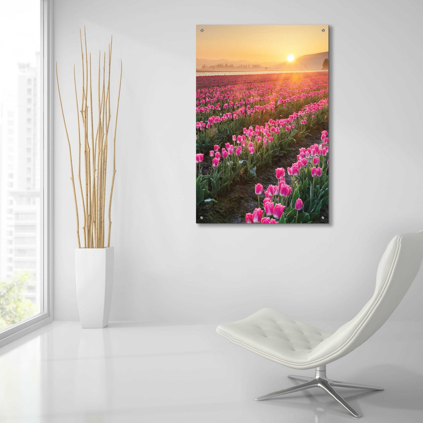 Epic Art 'Skagit Valley Tulips II' by Alan Majchrowicz, Acrylic Glass Wall Art,24x36